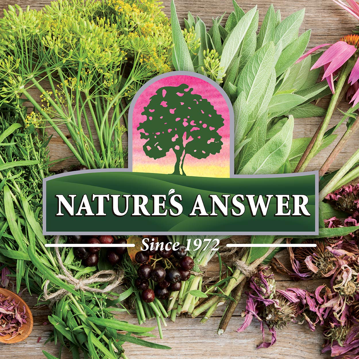 Nature's Answer Alcohol-Free Feverfew 2000mg 1oz Extract | Promotes Overall Well-Being | Source of Parthenolide | No Artificial Flavors or Preservatives | Single Count - Image 2