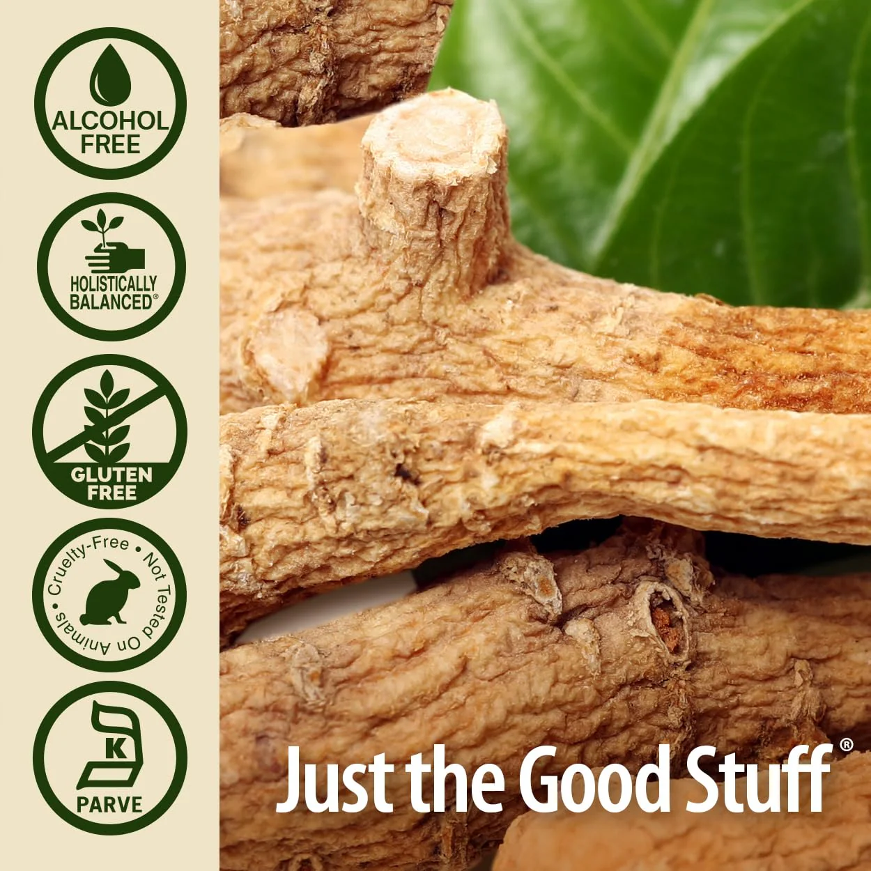 Nature's Answer Alcohol-Free Ginseng American Root, 1-Fluid Ounce - Image 4