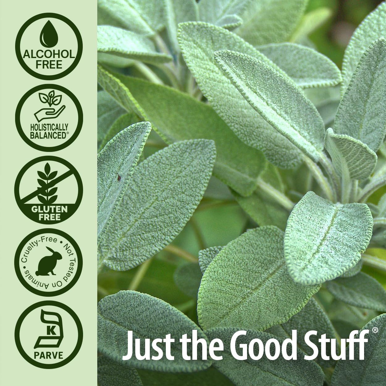 Nature's Answer Alcohol-Free Sage Leaf, 1-Fluid Ounce Sage Liquid Extract Gluten Free Sage Extract Supplement - Image 4