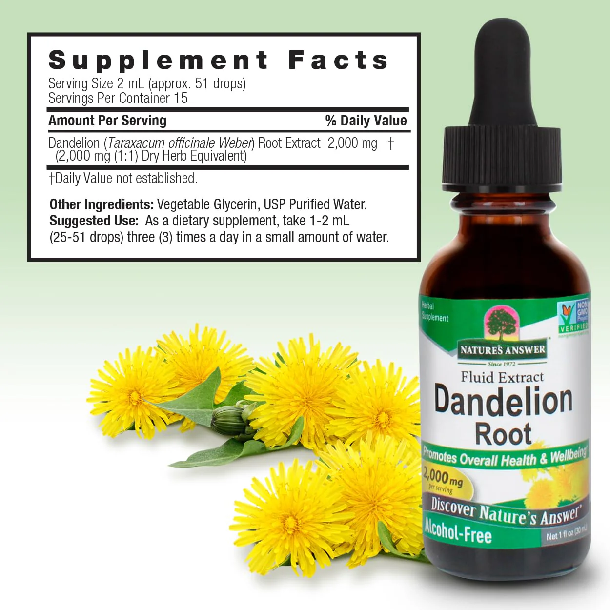 Nature's Answer Dandelion Root 2000mg 1oz Extract | Promotes Overall Well-Being | Alcohol & Gluten Free, Non-GMO, Vegan, No Preservatives or Artificial Flavors | Single Count - Image 6