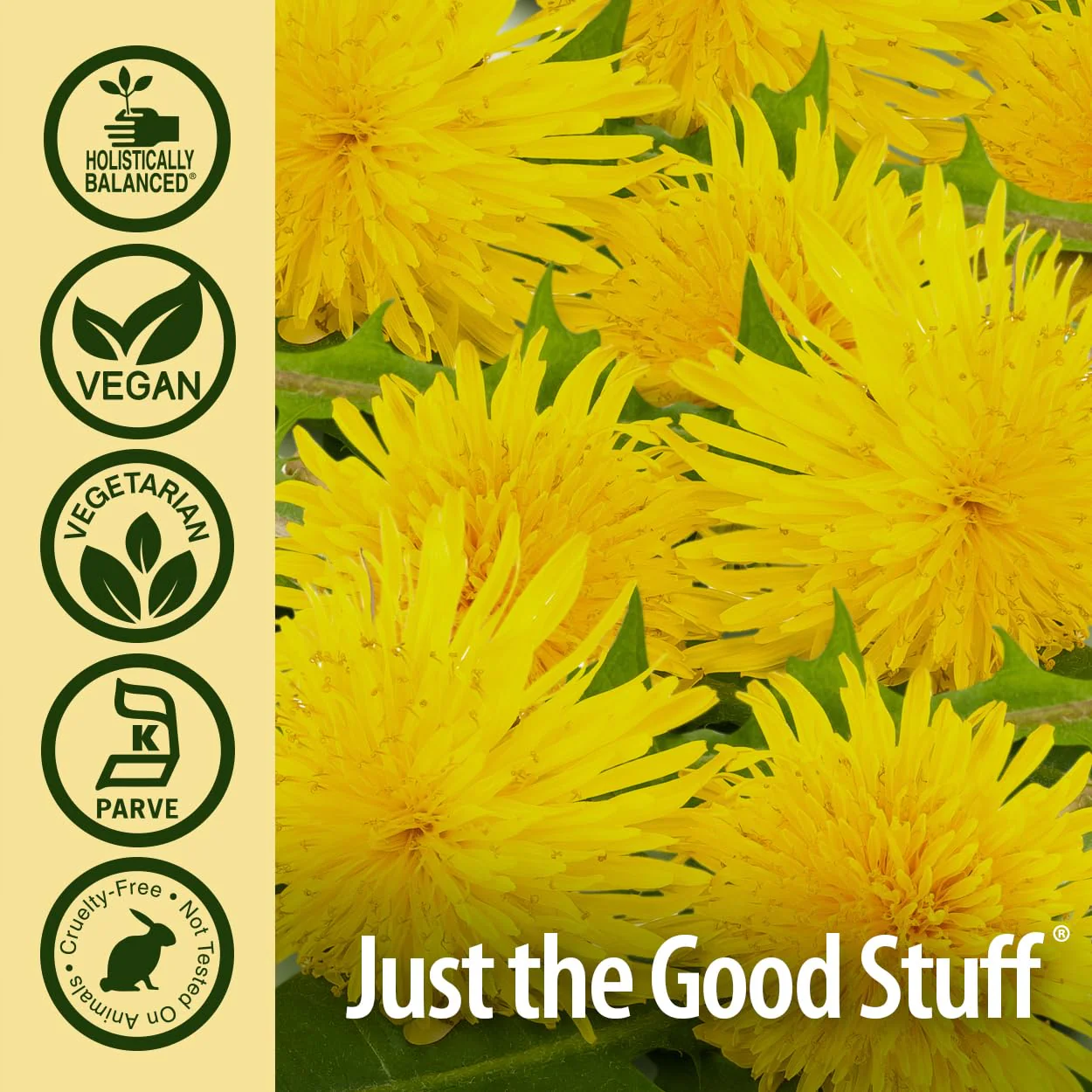 Nature's Answer Dandelion Root | Supports Healthy Liver Function | Promotes Detoxification & Waste Elimination | Gluten-Free Kosher Certified & No Preservatives | Vegetarian Capsules 90ct. - Image 4
