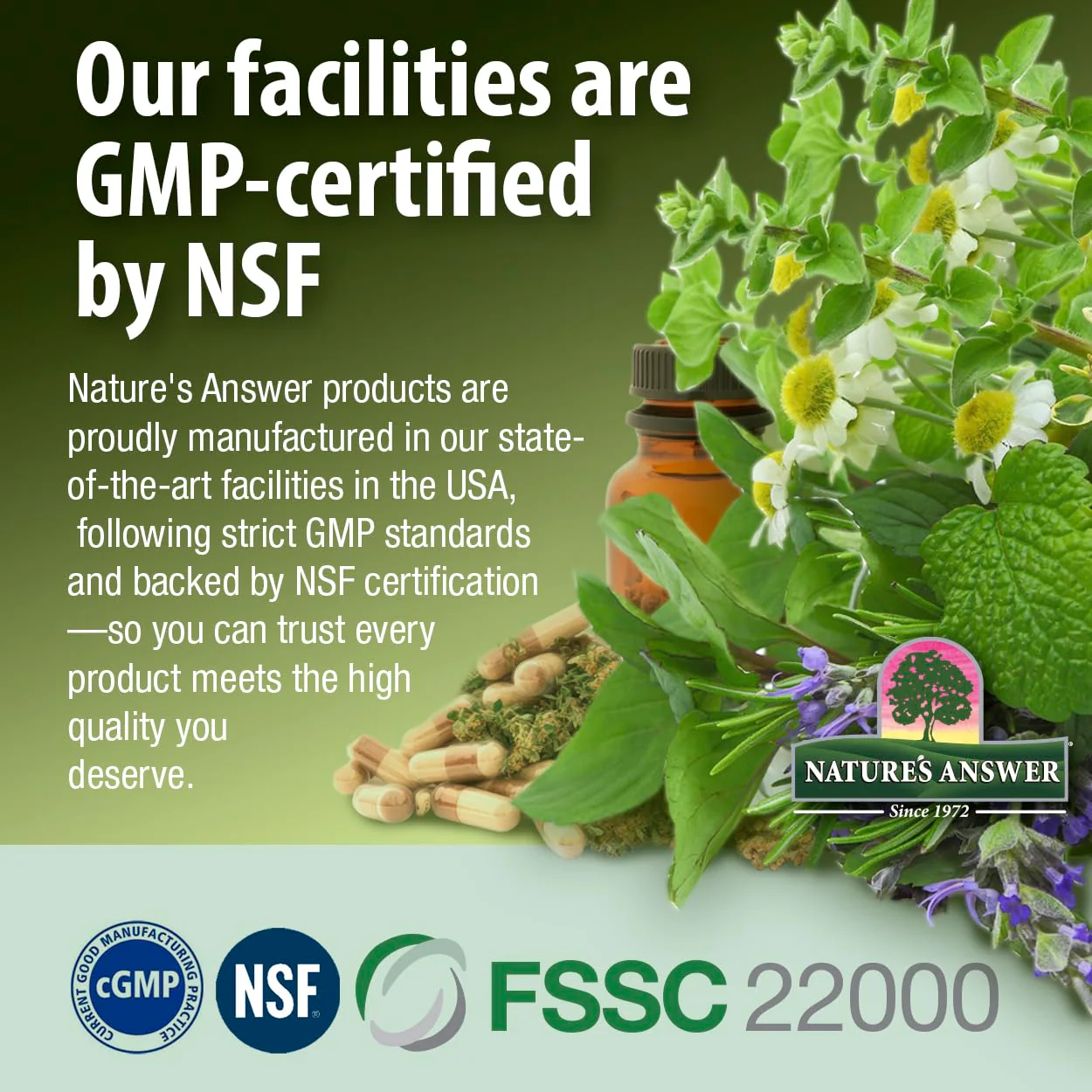 Nature's Answer Echinacea | 4 oz. Supports a Healthy Immune System | Non-GMO | Alcohol-Free, Gluten-Free, Vegan, Kosher Certified & No Preservatives 4 fl oz - Image 3