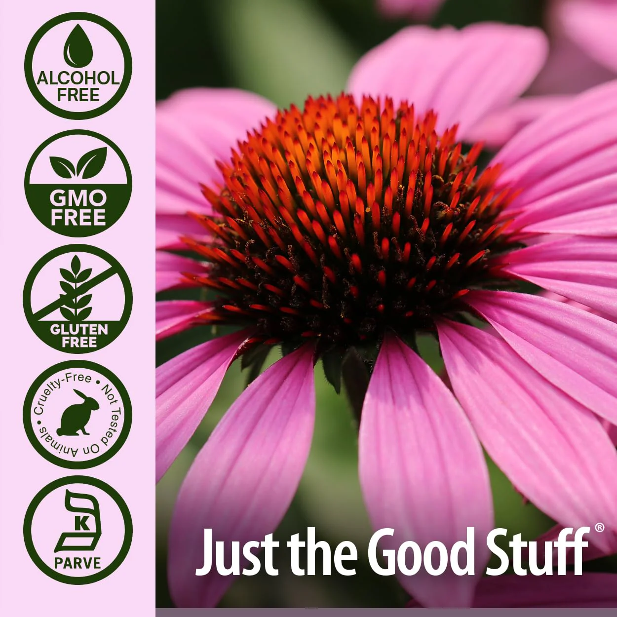 Nature's Answer Echinacea | 4 oz. Supports a Healthy Immune System | Non-GMO | Alcohol-Free, Gluten-Free, Vegan, Kosher Certified & No Preservatives 4 fl oz - Image 4