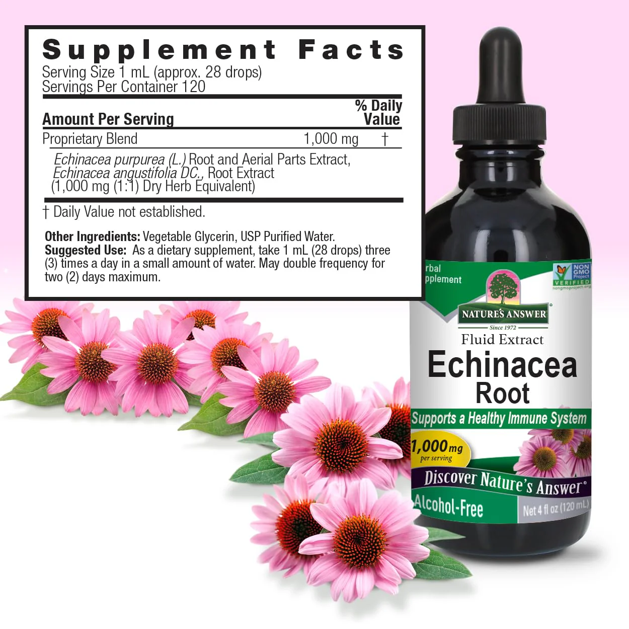 Nature's Answer Echinacea | 4 oz. Supports a Healthy Immune System | Non-GMO | Alcohol-Free, Gluten-Free, Vegan, Kosher Certified & No Preservatives 4 fl oz - Image 6