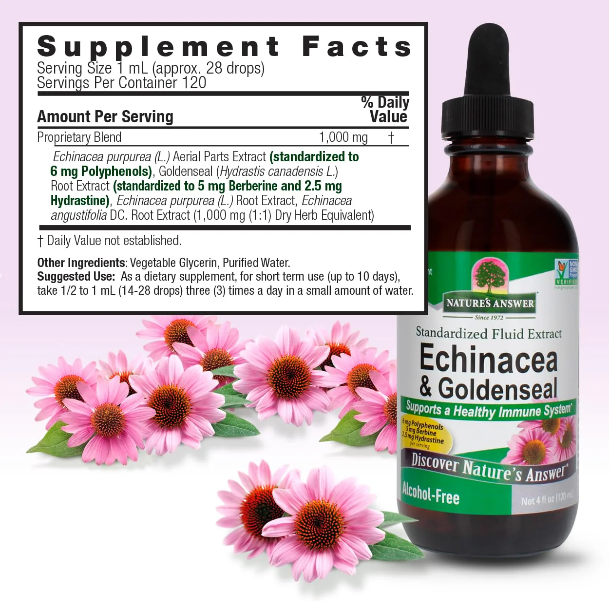 Nature's Answer Echinacea and Goldenseal | Supports a Healthy Immune System | Non-GMO, Alcohol-Free, Gluten-Free & Kosher Certified 4oz - Image 6