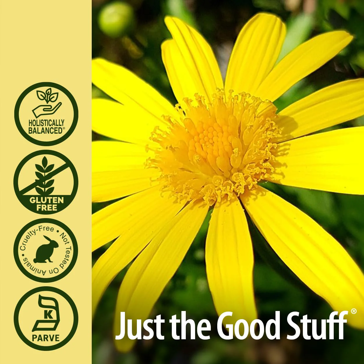 Nature's Answer Elecampane Root 2 oz. Low Organic Alcohol 2000mg - Herbal Supplement - Non GMO & Kosher - Low Alcohol Gluten Free 100% Vegan - 2 FL Oz - Image 4