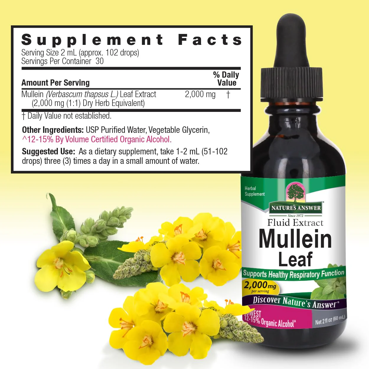 Nature's Answer Mullein Leaf Fluid Extract, 2 fl oz (60 ml) - Image 6