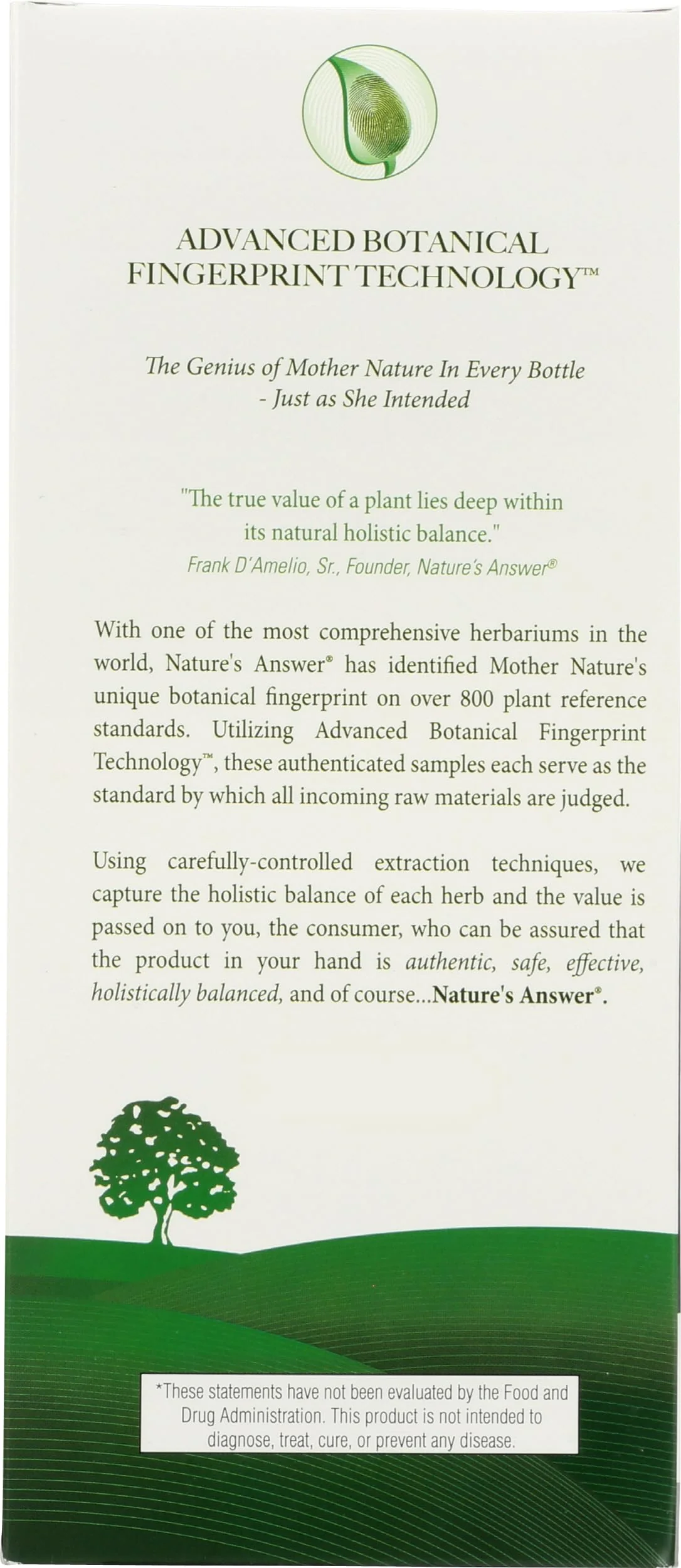 Nature's Answer Sambucus Elderberry Syrup 16 Ounce | Great Tasting Immune Support Supplement | Antioxidant, Vegan, Gluten Free, Made in USA | Single Count - Image 2