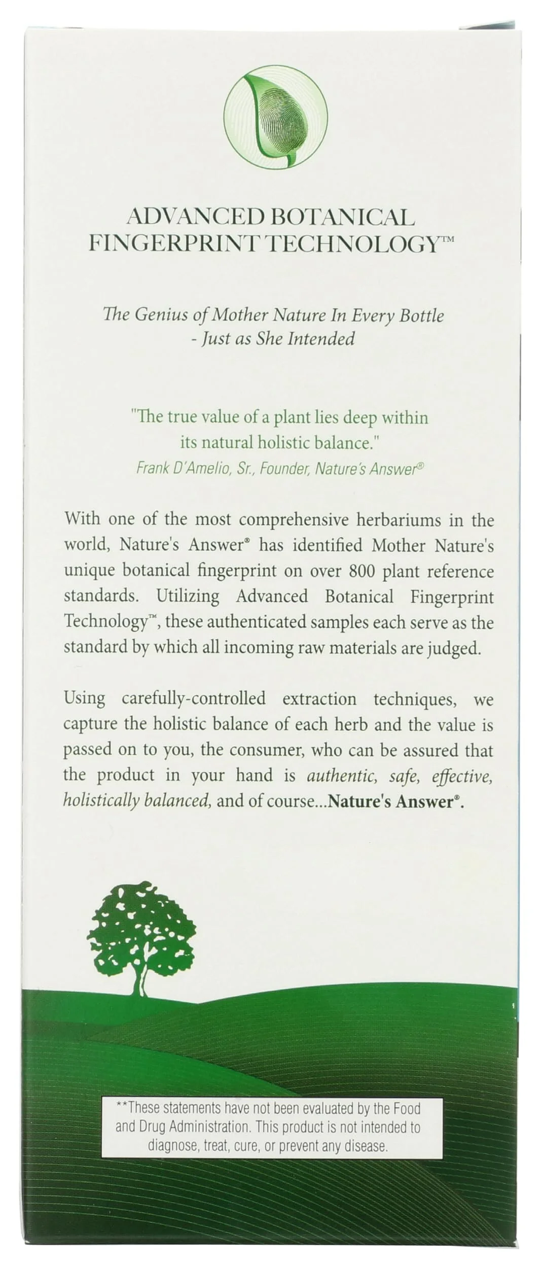 Nature's Answer Sambucus Kids Formula | 8-Fluid Ounces | Kosher Certified Organic Elderberry Syrup | Great Taste & Gluten-Free | Dietary Supplement | No Artificial Preservatives - Image 2