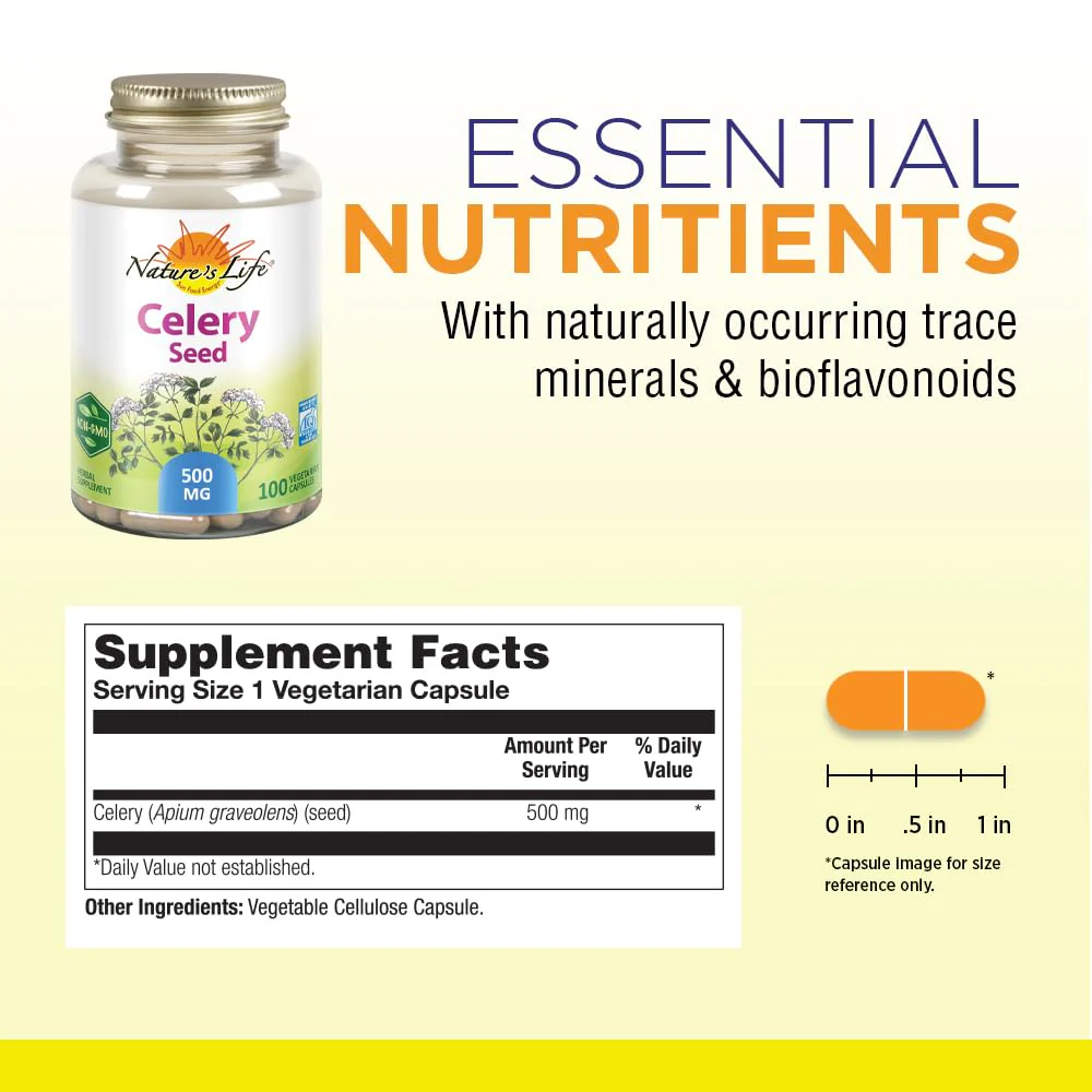 Nature's Life Celery Seed 500 mg | Circulation and Brain Health Support Supplement | 100ct - Image 2