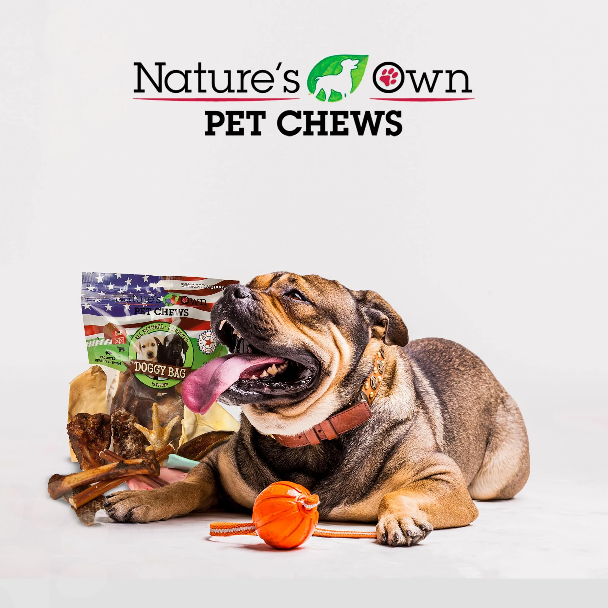 Nature's Own Pet Chews Doggy Bag Treat, 12 Piece - Nature's Own Healthy Pet Chews - Great for Teeth & Gums - Natural Protein Full of Vitamins & Minerals - Image 2
