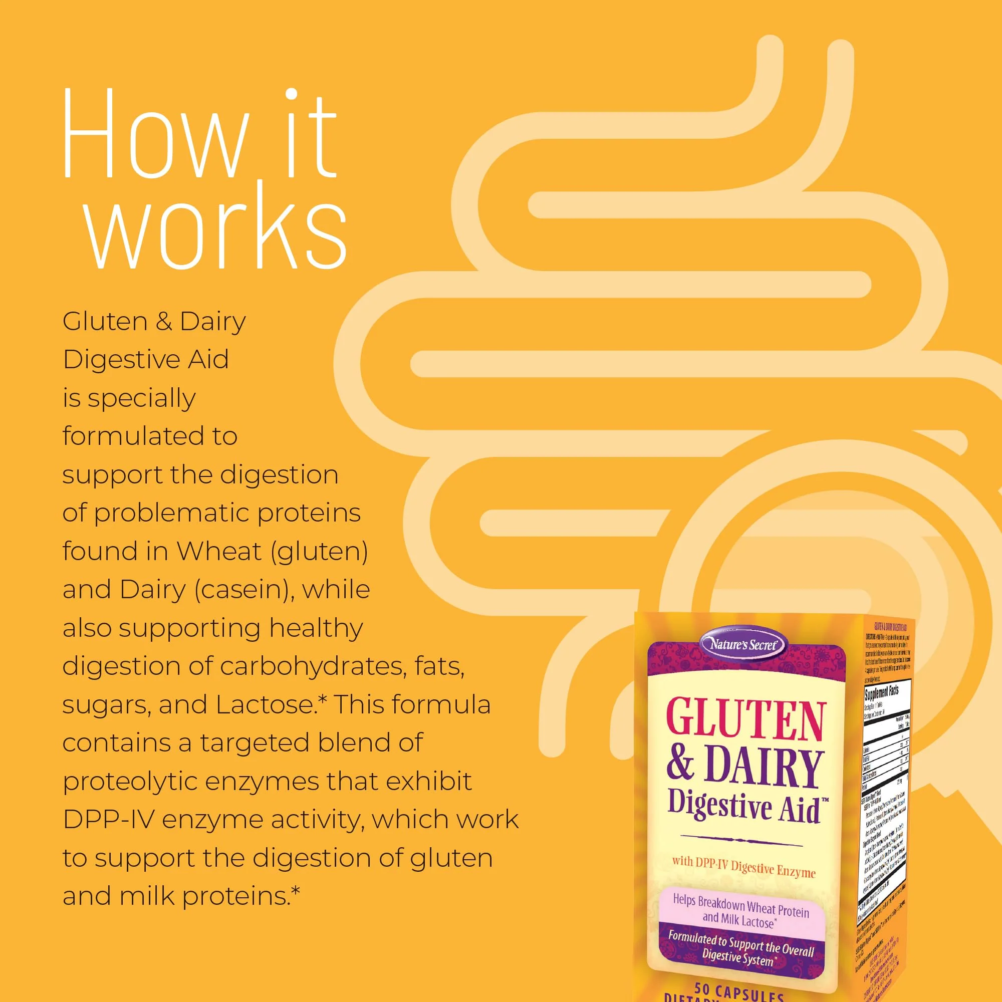 Nature's Secret Gluten & Dairy Digestive Aid - 50 Capsules - Helps Break Down Wheat Protein & Milk Lactose - 25 Servings - Image 6