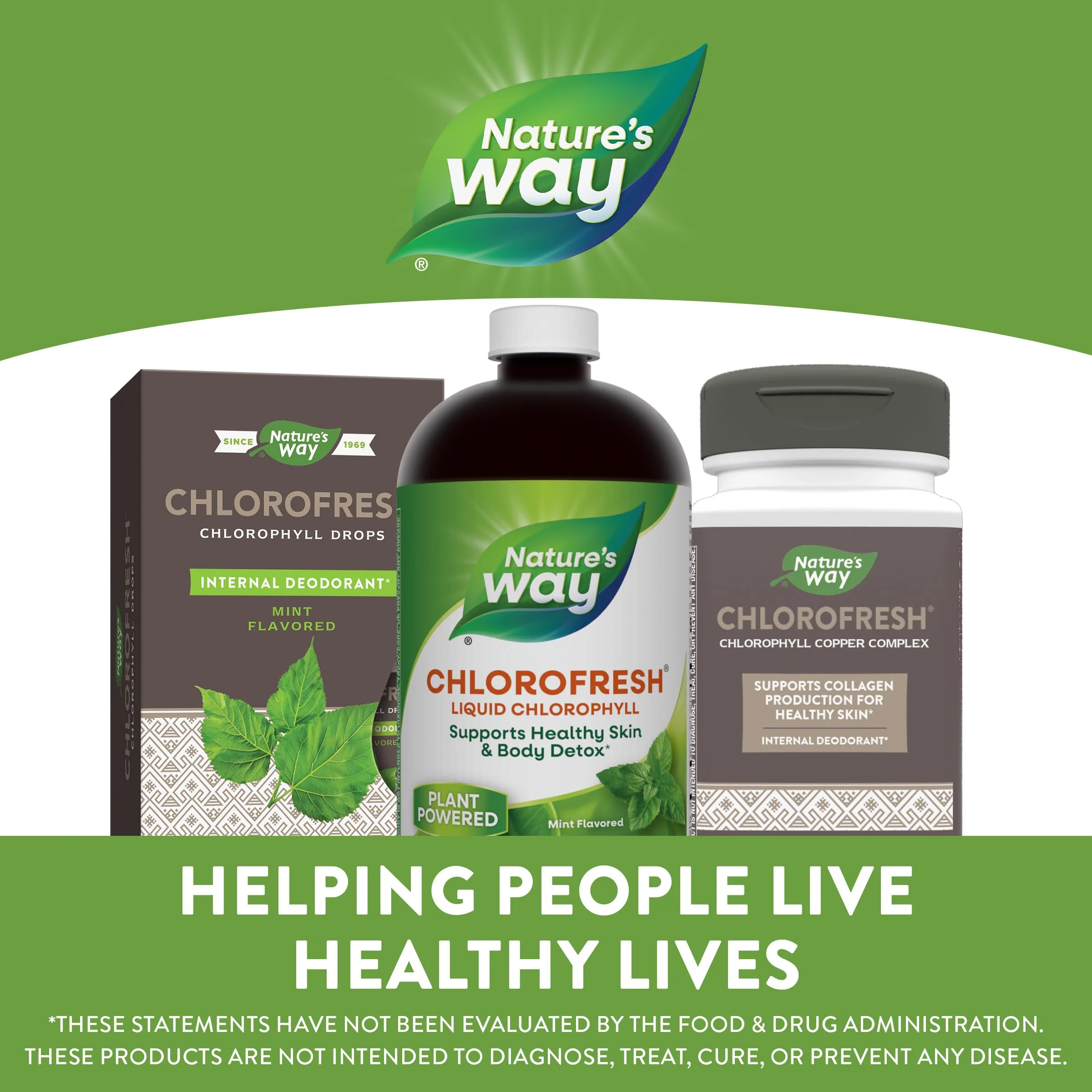 Nature's Way Chlorofresh Liquid Chlorophyll Internal Deodorant 16 fl oz, Mint Flavor (Packaging May Vary) - Image 2