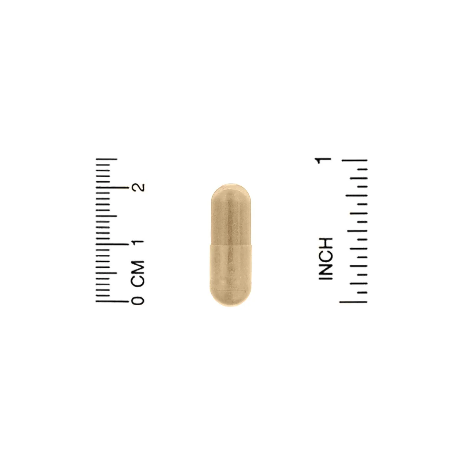 Nature's Way Nature's Way Burdock Root, 950 Mg Per Serving, 100 Vegan Caps (packaging May Vary), 100 Count - Image 2
