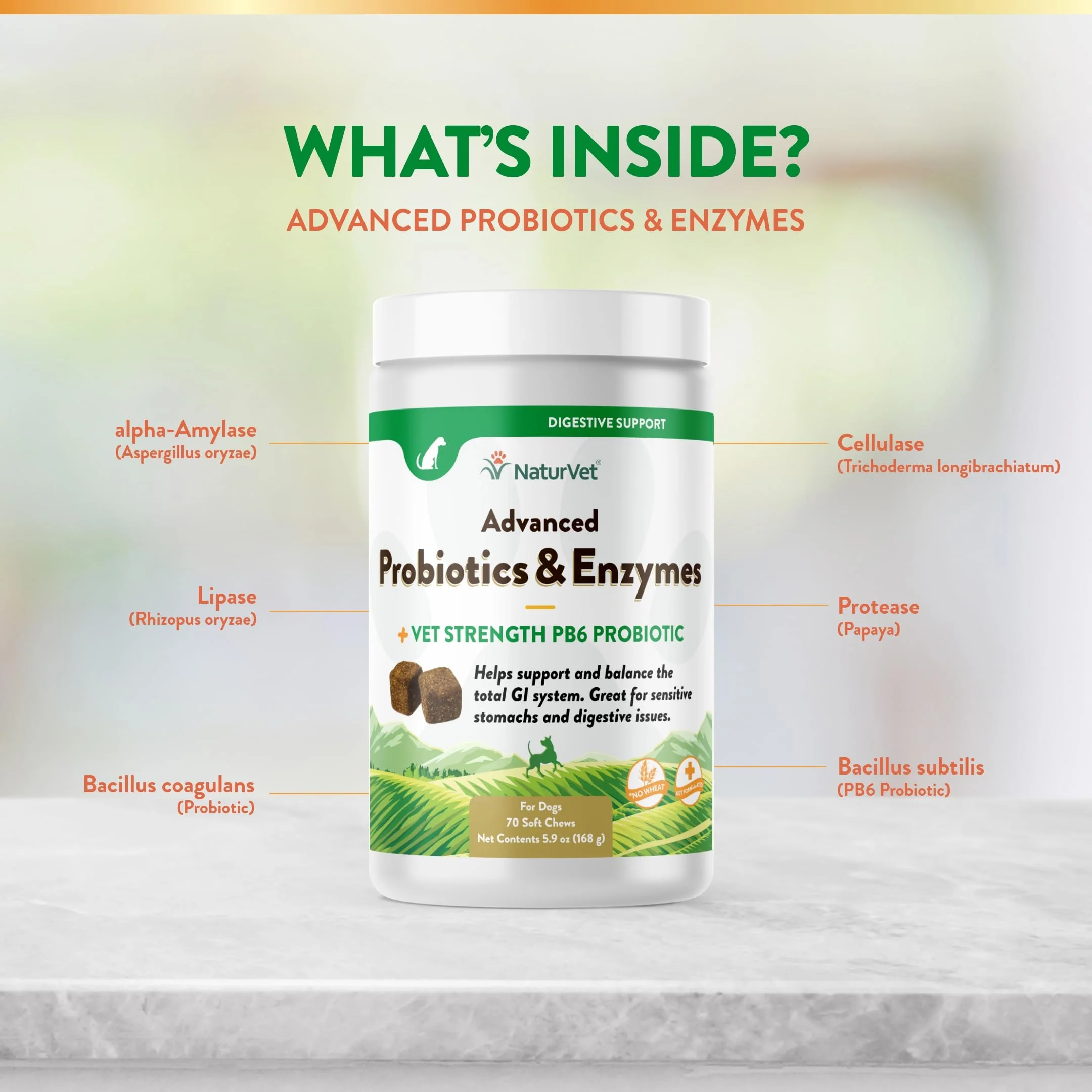 NaturVet Advanced Probiotics & Enzymes, PB6 Dog Soft Chews to Help Sensitive Stomachs and Digestive Issues, Hickory Smoked Bacon Flavored Pet Supplement for Dogs Over 6 Weeks, 70 Count Jar - Image 6