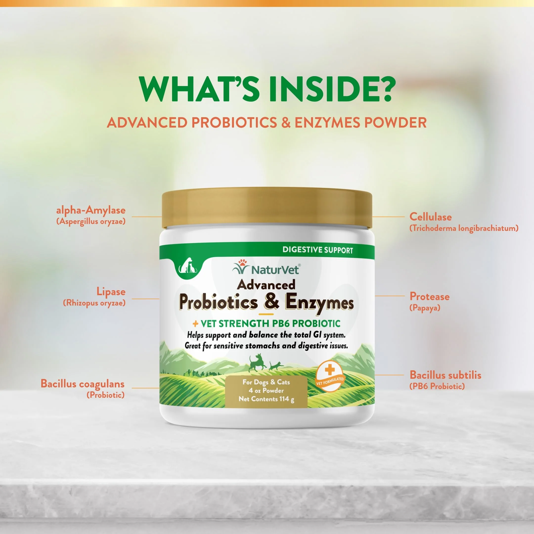 NaturVet – Advanced Probiotics & Enzymes - Plus Vet Strength PB6 Probiotic | Supports and Balances Pets with Sensitive Stomachs & Digestive Issues | for Dogs & Cats (4 oz) - Image 5