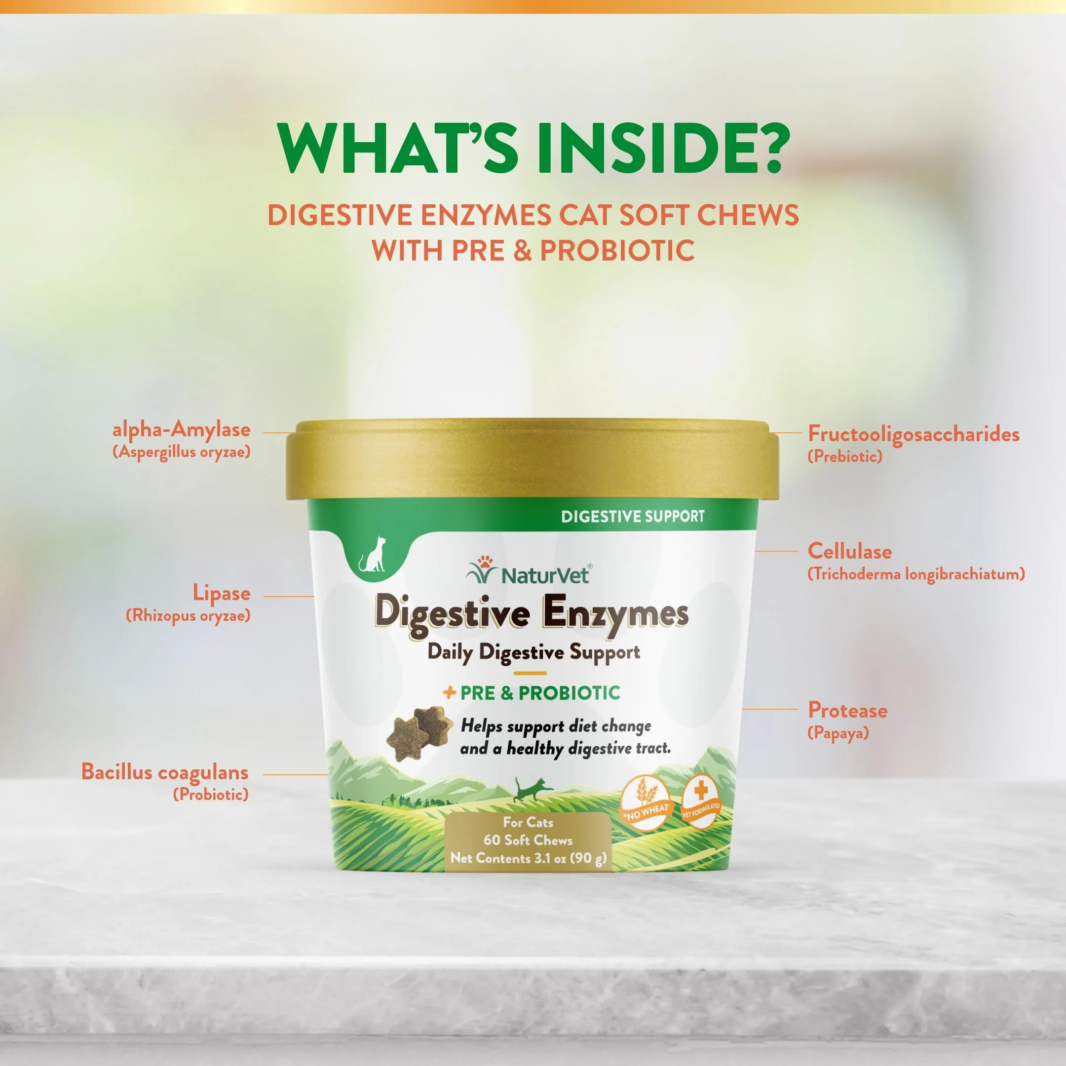 NaturVet – Digestive Enzymes for Cats Plus Probiotics – 60 Soft Chews – Helps Support Diet Change & A Healthy Digestive Tract – Aids in The Absorption of Vitamins & Minerals – 30 Day Supply - Image 6