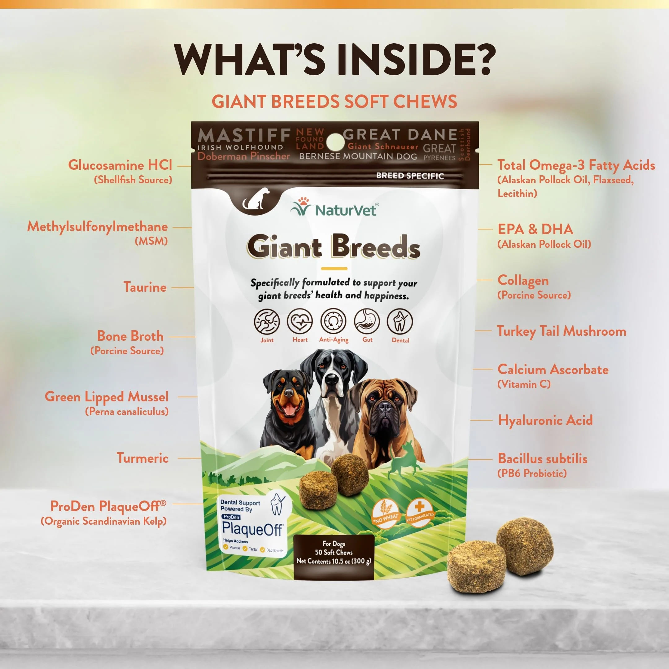 NaturVet Giant Breeds Supplement- for Joint Support, Digestion, Skin, Coat Care- Dog Multivitamins with Minerals, Omega-3, PlaqueOff- Wheat-Free Vitamins for Dogs- Giant Breeds- 50 Soft Chews - Image 6