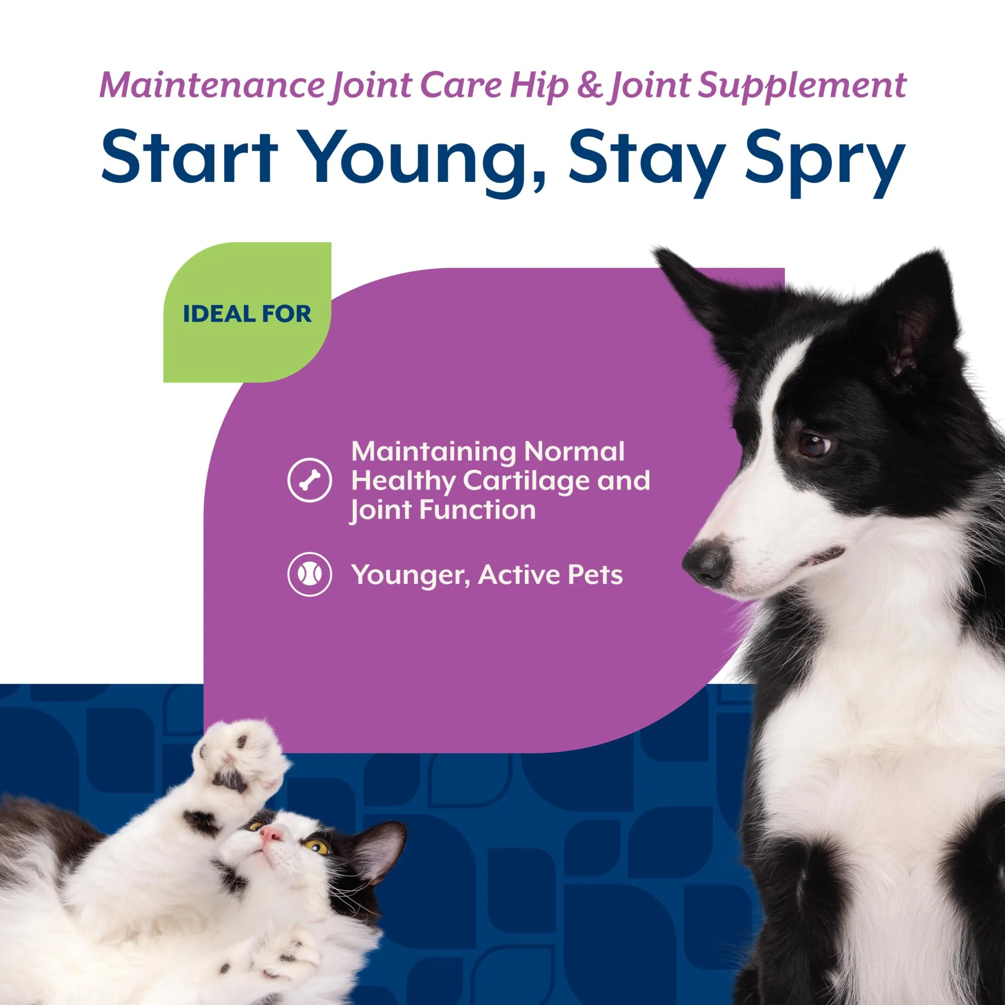 NaturVet Glucosamine DS Level 1 Maintenance Care Hip & Joint Support Pet Supplement for Dogs & Cats –Glucosamine, Chondroitin, Antioxidants –Supports Cartilage, Joint Function – 60 Ct. - Image 5