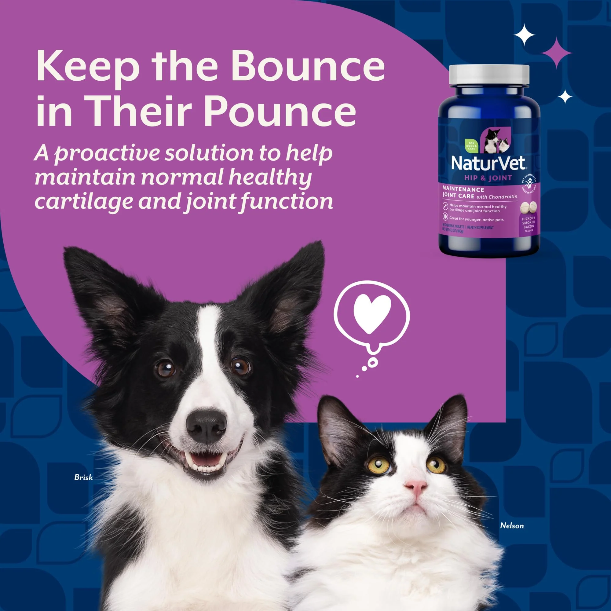 NaturVet Glucosamine DS Level 1 Maintenance Care Hip & Joint Support Pet Supplement for Dogs & Cats –Glucosamine, Chondroitin, Antioxidants –Supports Cartilage, Joint Function – 60 Ct. - Image 6