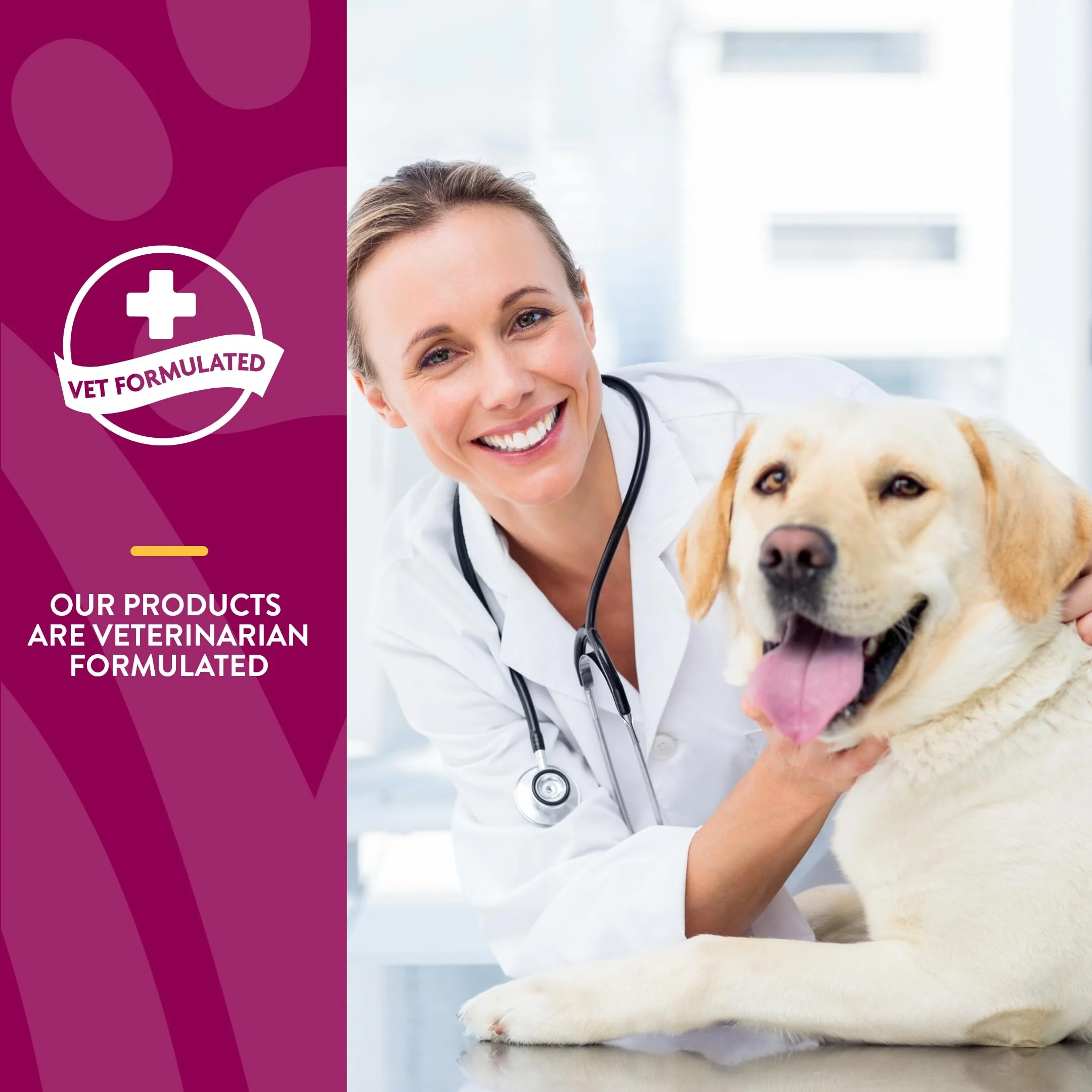 NaturVet Glucosamine DS Plus Level 2 Moderate Care Joint Support Supplement for Dogs and Cats, Chewable Tablets Time Release, Made in The USA, 60 Count - Image 4