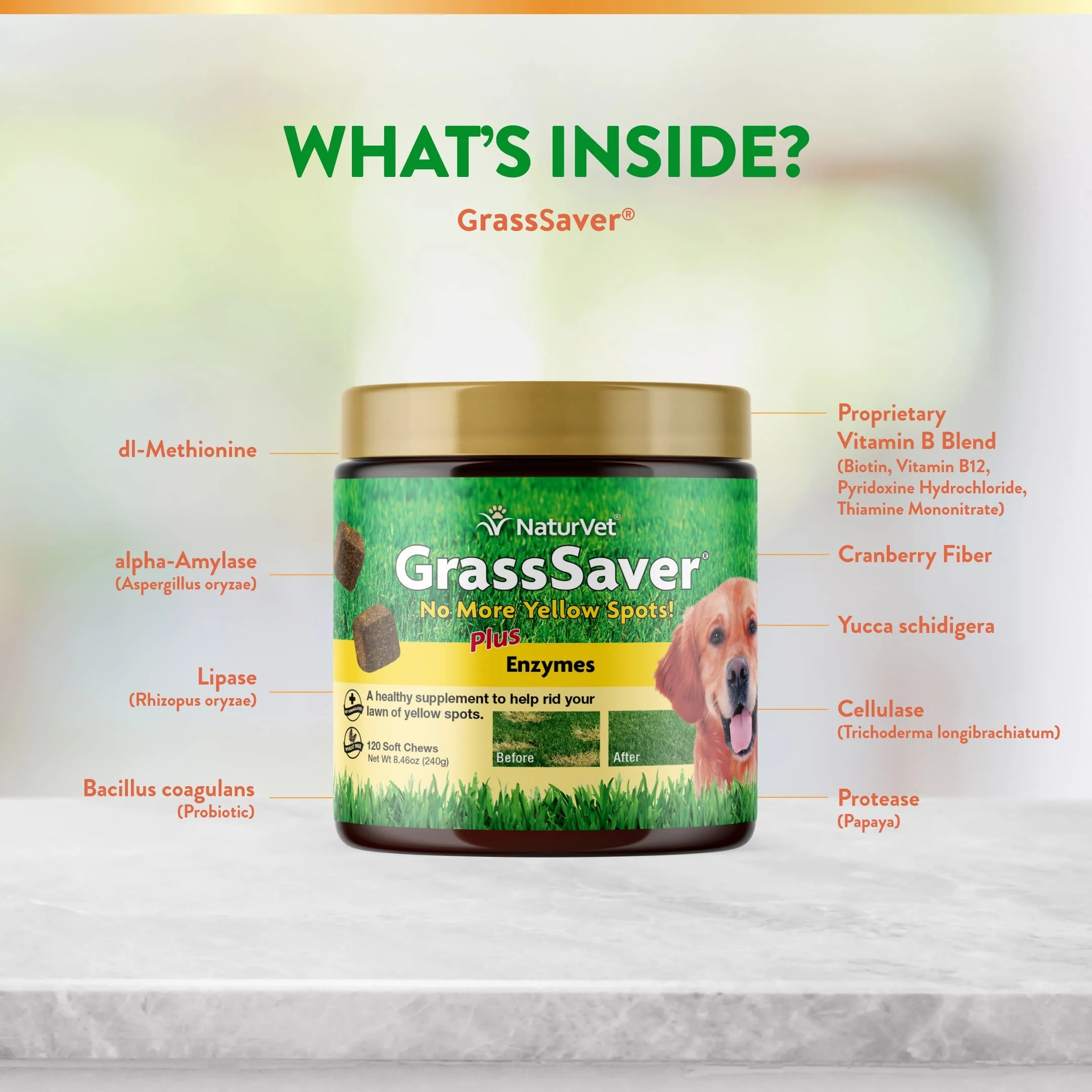 NaturVet – GrassSaver Supplement for Dogs – Healthy Supplement to Help Rid Your Lawn of Yellow Spots – Synergistic Combination of B-Complex Vitamins & Amino Acids – 120 Soft Chews - Image 7