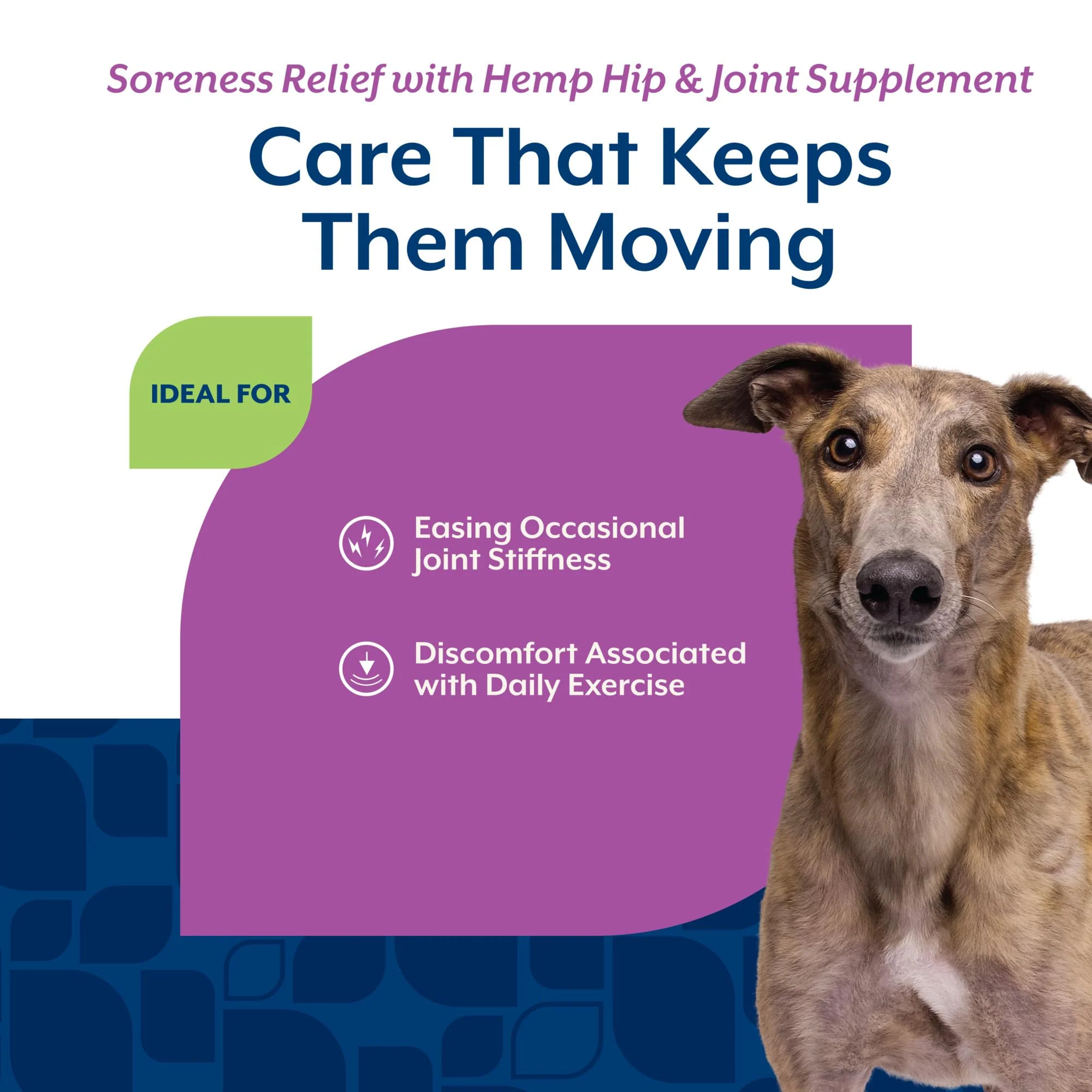 NaturVet Hemp Aches & Discomfort Plus Hemp Seed for Dogs, 60 ct Soft Chews, Made in The USA - Image 5