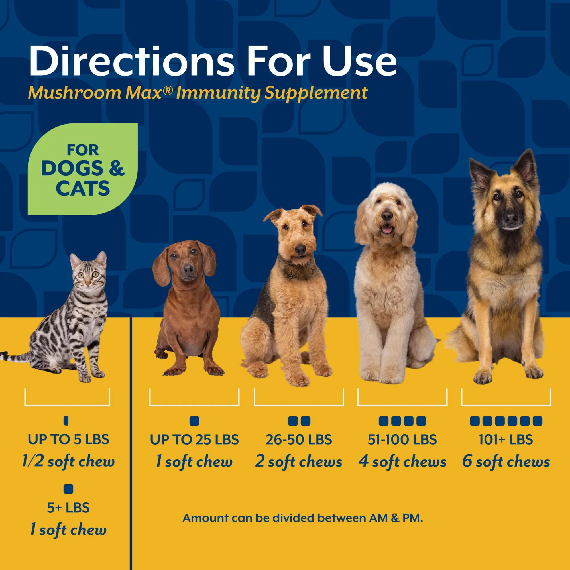 NaturVet Mushroom Max Advanced Immune Support Dog Supplement – Helps Strengthen Immunity, Overall Health for Dogs – Includes Shitake Mushrooms, Reishi, Turkey Tail – 60 Ct. - Image 3