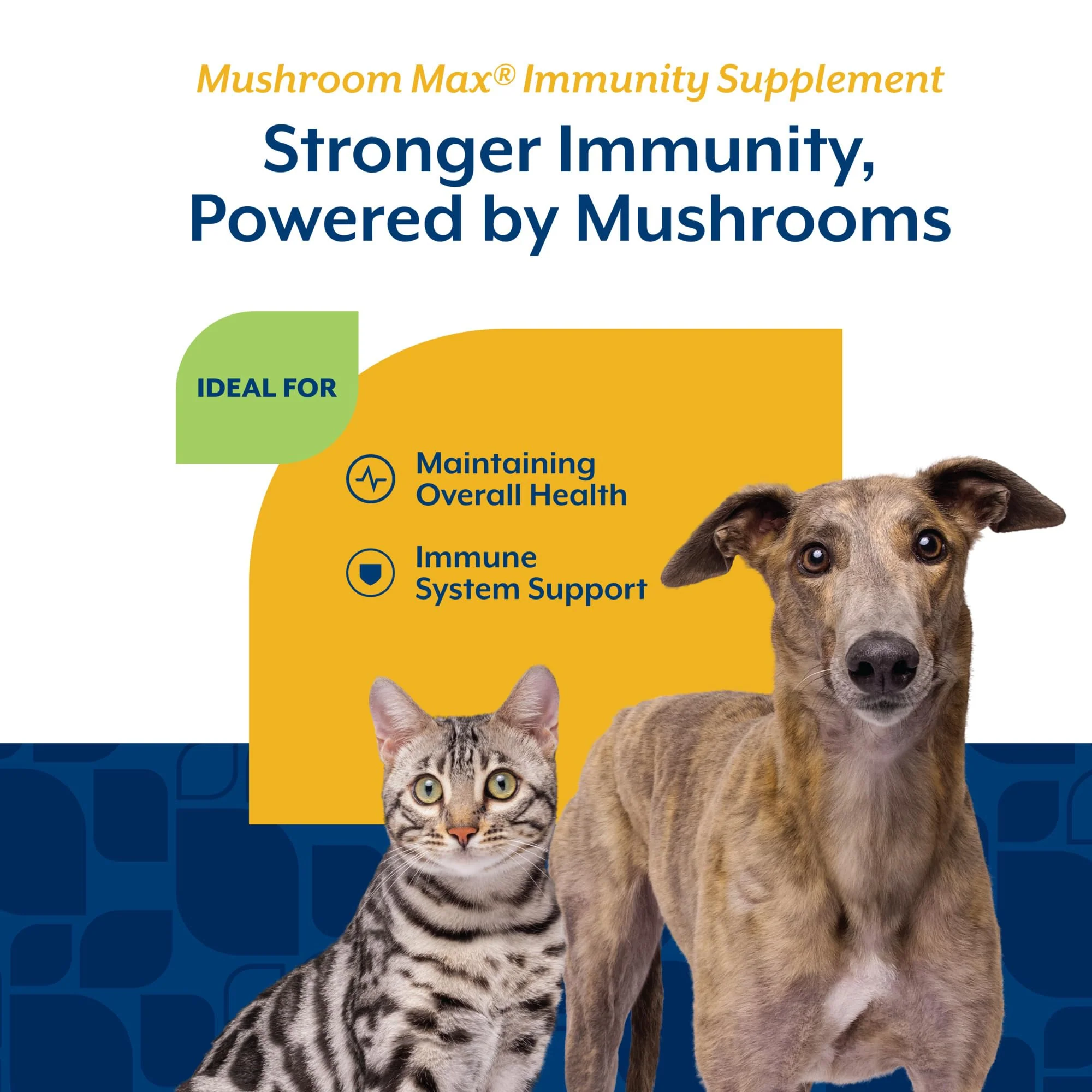 NaturVet Mushroom Max Advanced Immune Support Dog Supplement – Helps Strengthen Immunity, Overall Health for Dogs – Includes Shitake Mushrooms, Reishi, Turkey Tail – 60 Ct. - Image 5
