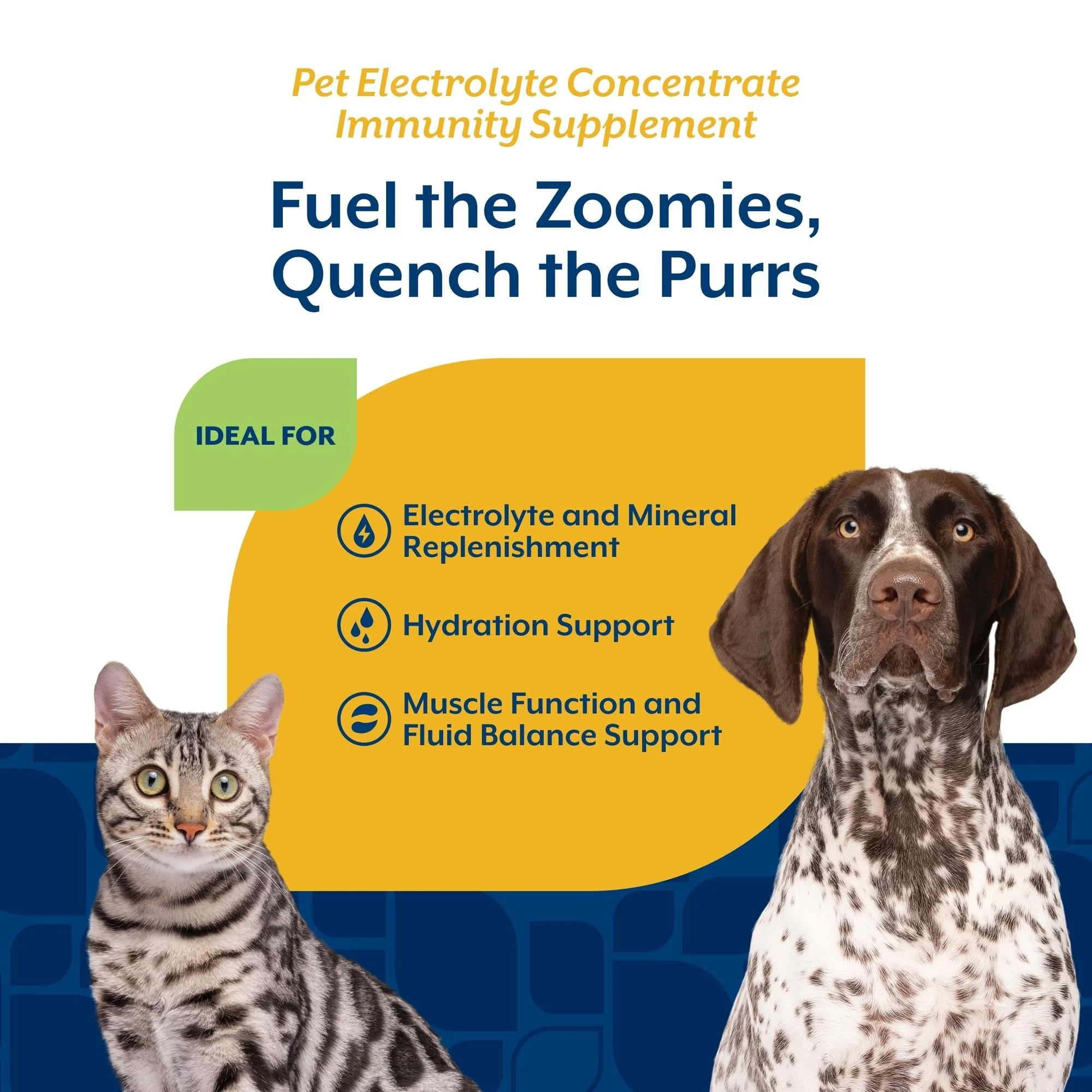 NaturVet Pet Electrolyte Concentrate for Dogs and Cats, 16 oz Liquid Concentrate, Made in The USA with Globally Source Ingredients - Image 5
