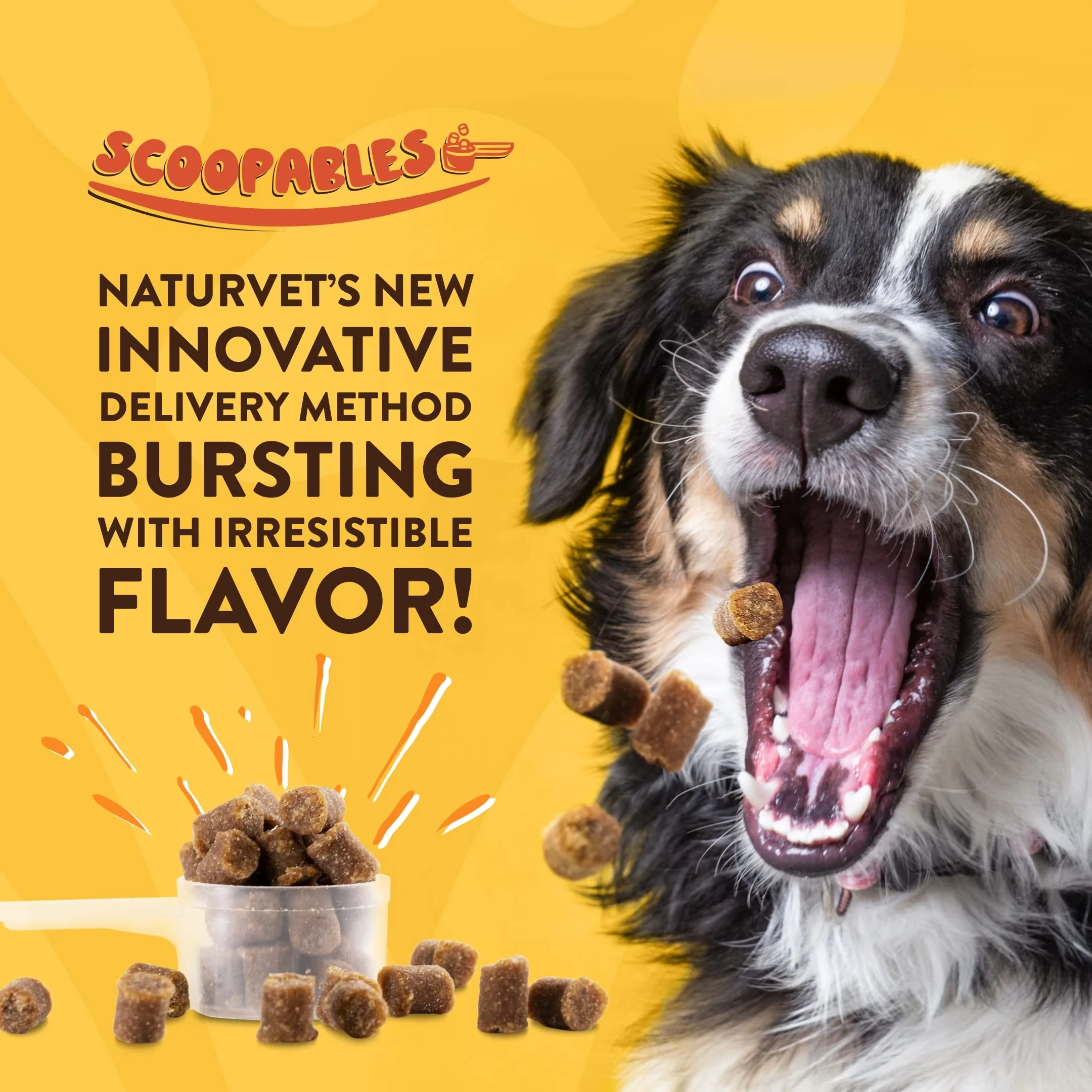 NaturVet Scoopables Quiet Moments Dog Calming Aid for Dogs - Promotes Calm with Stressful Events Like Storms, Fireworks, Travel, Separation Anxiety - Hickory Smoked Bacon Flavored | 11oz Bag - Image 9