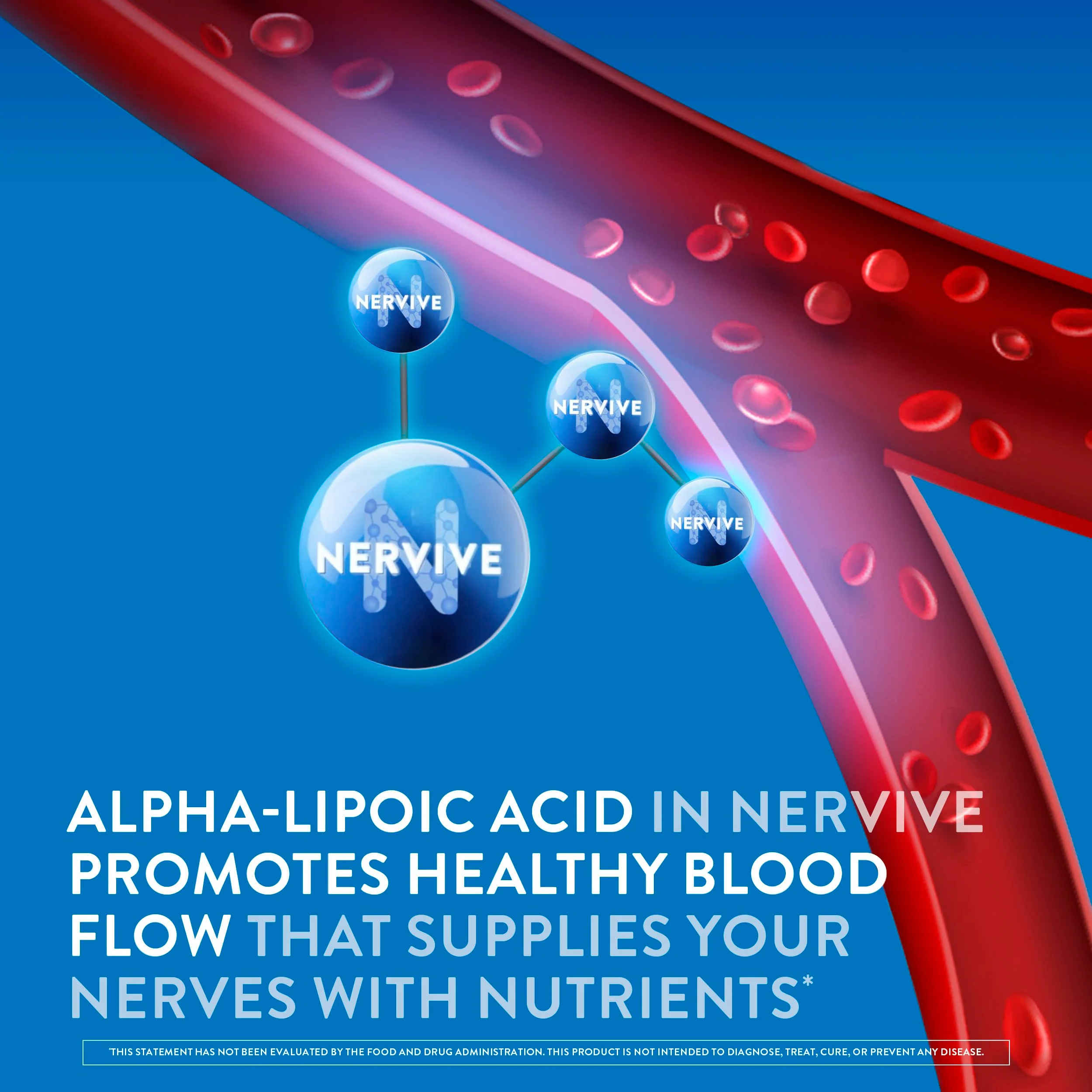 Nervive Nerve Health, Alpha Lipoic Acid, Fortify Nerve Health, Healthy Nerve Function, Healthy Blood Circulation, Supplement, Tablet, 30 Tablets - Image 7