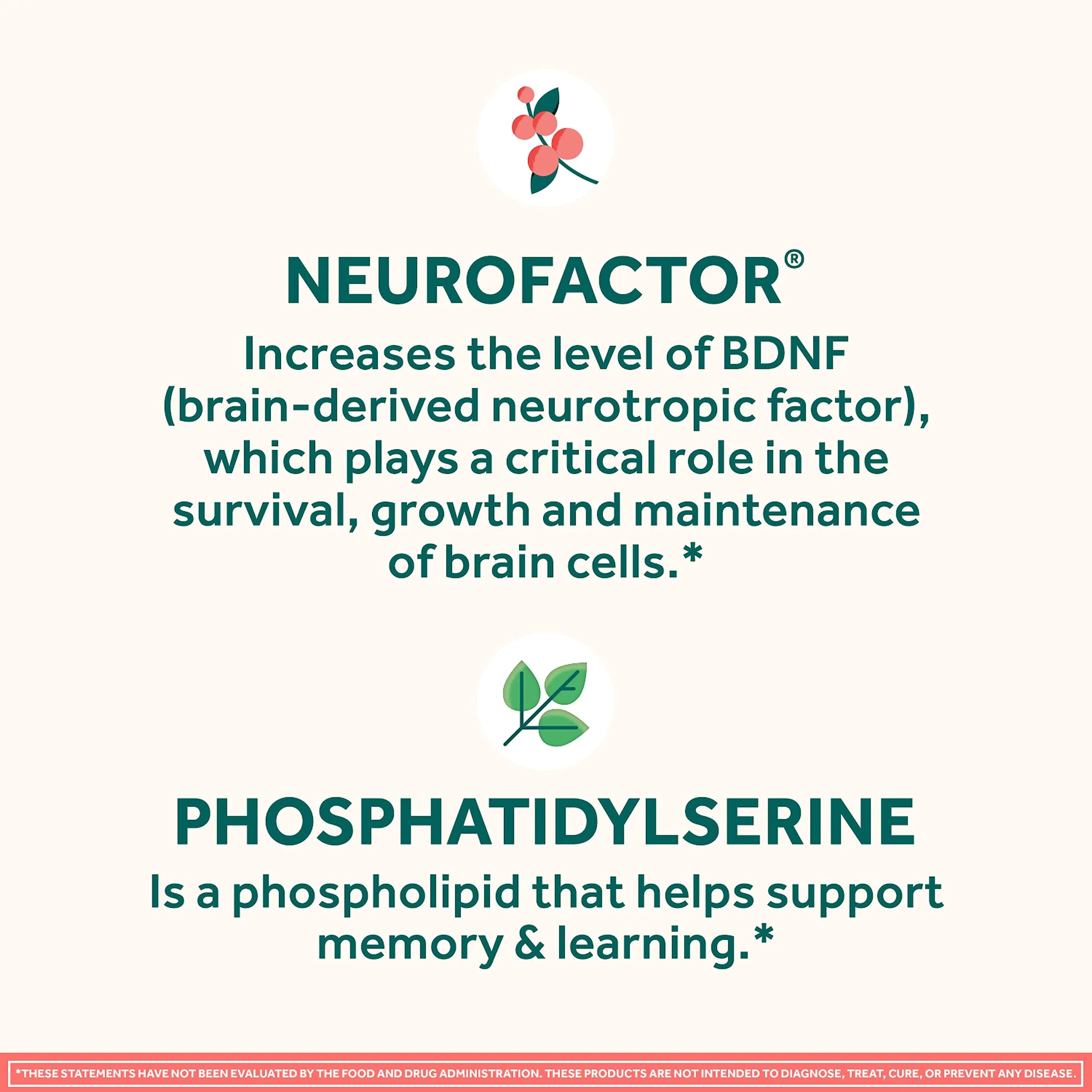 NEURIVA Original Decaffeinated Clinically Tested Nootropic Brain Supplement for Memory, Focus & Concentration, NeuroFactor & Phosphatidylserine, 28ct Capsules - Image 18