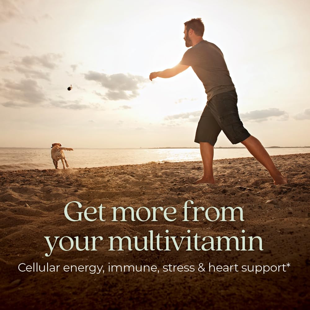 New Chapter Men’s Multivitamin, B6, Extra B12, D3, Vitamin C & Zinc, Immune, Heart, Cellular Energy, and Brain Health, Gentle on The Stomach, One Daily, Non-GMO, Gluten-Free, 18+, 48 Tablets - Image 8