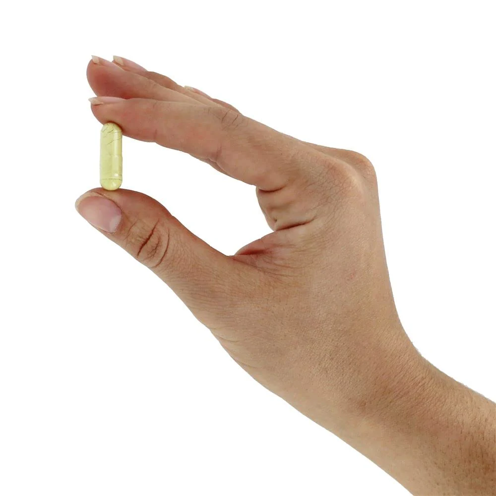 NOW Foods Rutin 450 mg - 100 Veg Capsules - Image 2