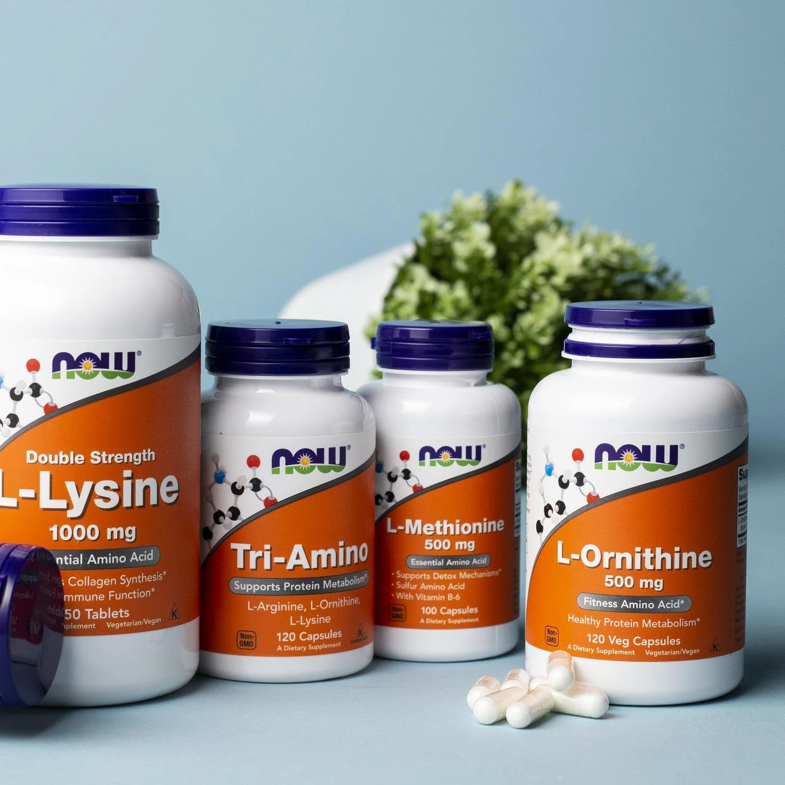 NOW Foods Supplements, L-Ornithine (L-Ornithine Hydrochloride) 500 mg, Amino Acid, 120 Veg Capsules - Image 4