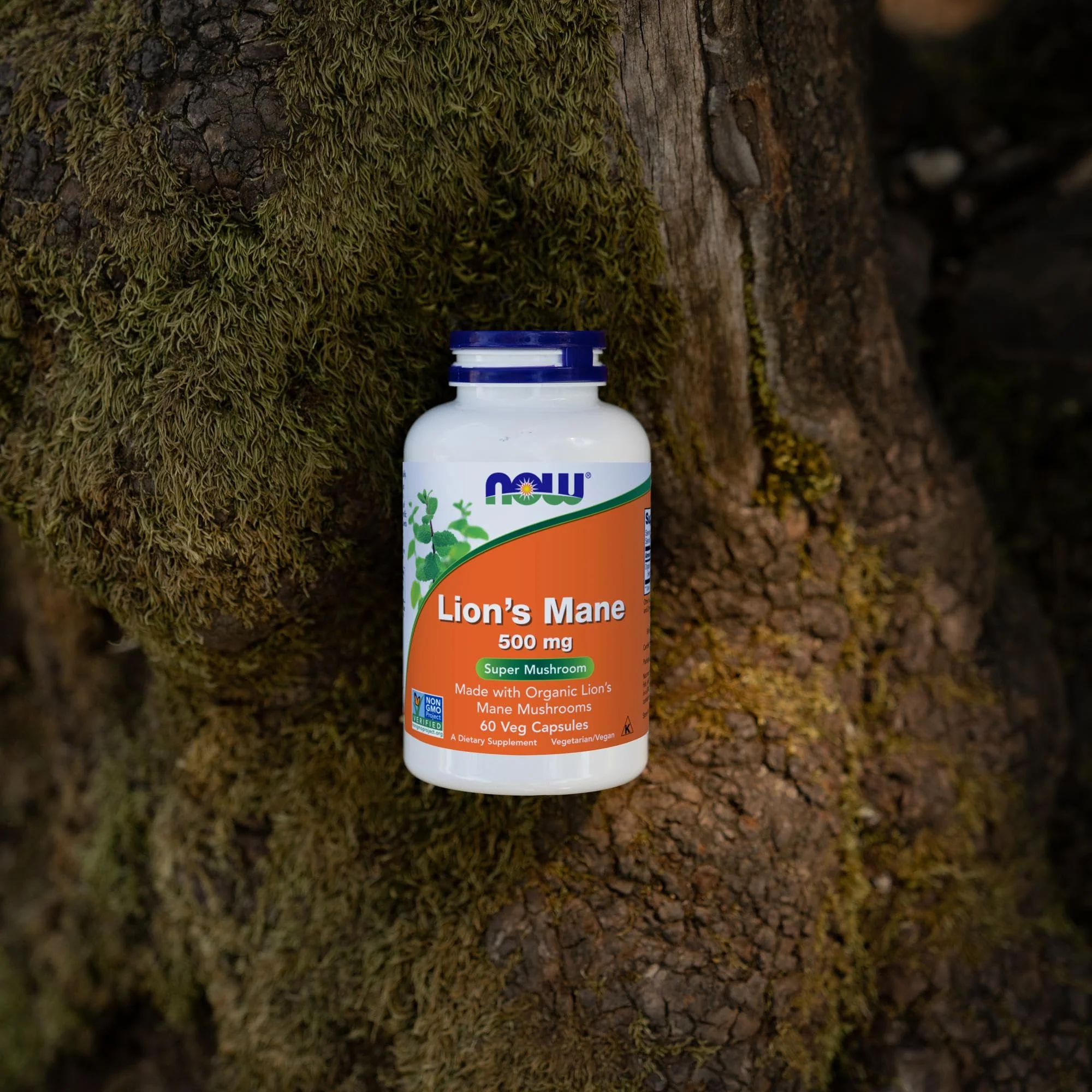NOW Foods Supplements, Lion's Mane 500 mg, Super Mushroom, Made with Organic Lion's Mane Mushrooms, 60 Veg Capsules - Image 4