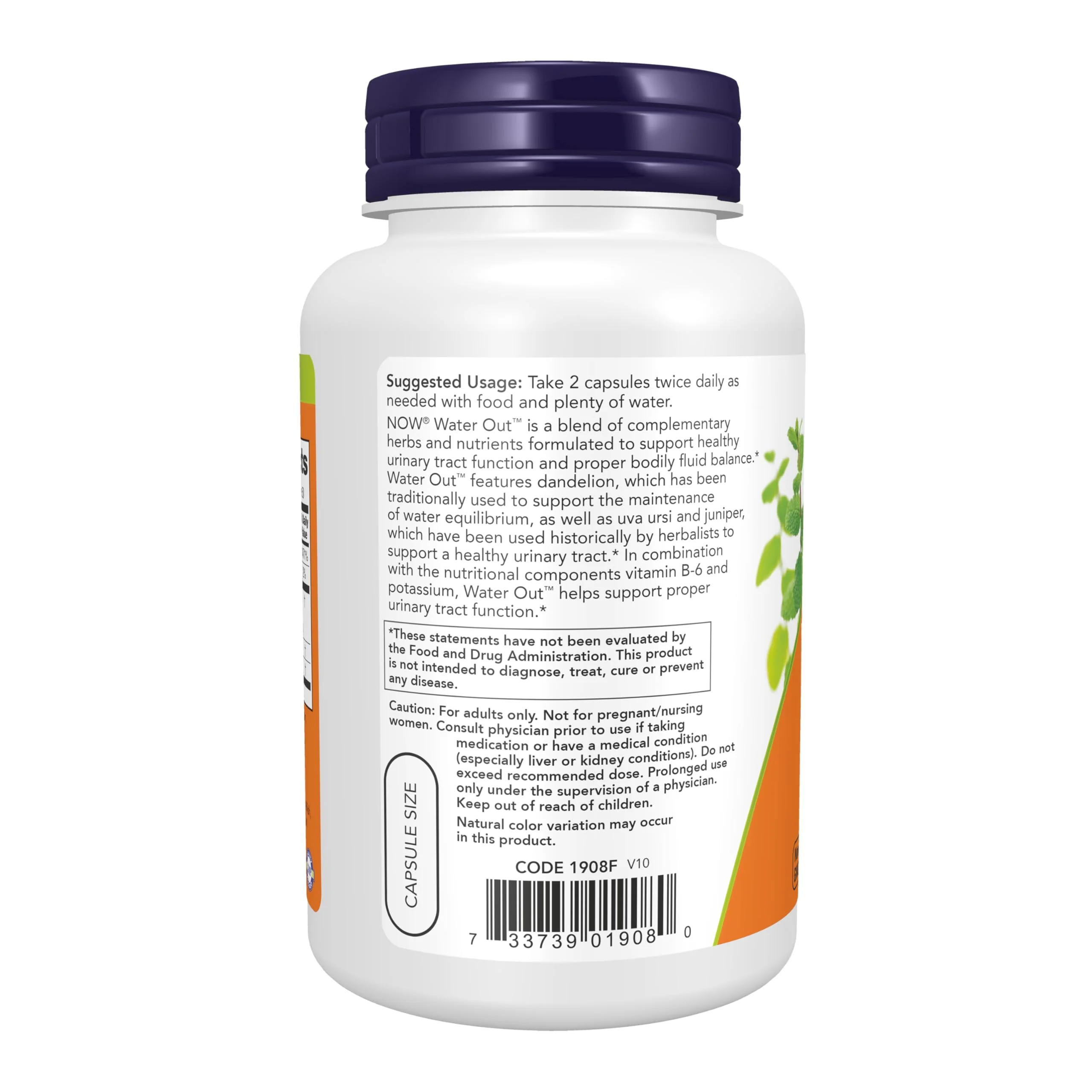 NOW Foods Supplements, Water Out With Standardized Uva Ursi, Dandelion, Potassium and Vitamin B-6, 100 Veg Capsules - Image 4