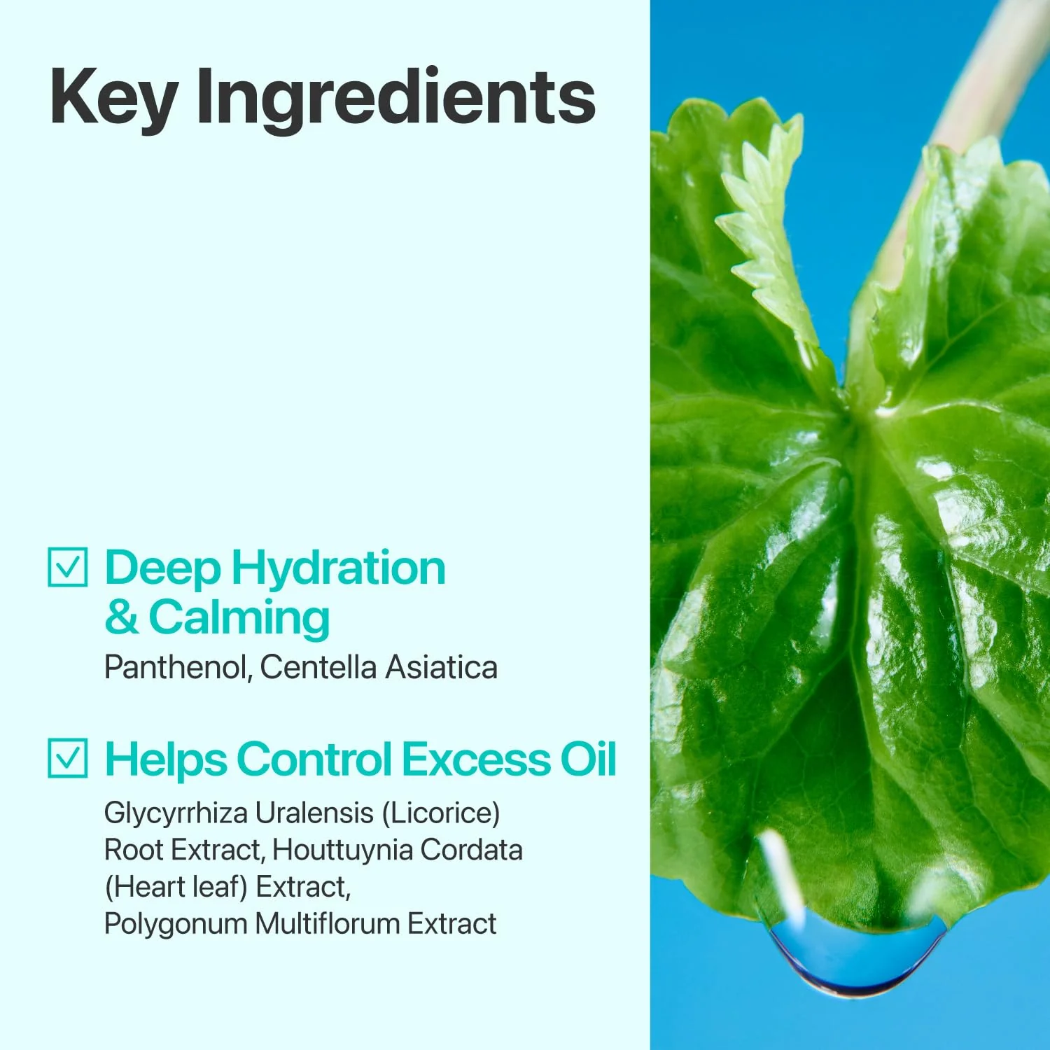 numbuzin No.1 Toner | Pure-Full Calming Herb Toner | Breakouts, Redness, Excess Oil Control | Centella Asiatica, Heartleaf, Licorice Root | Acne-Prone, Sensitive Skin | 10.14 fl. oz. - Image 7