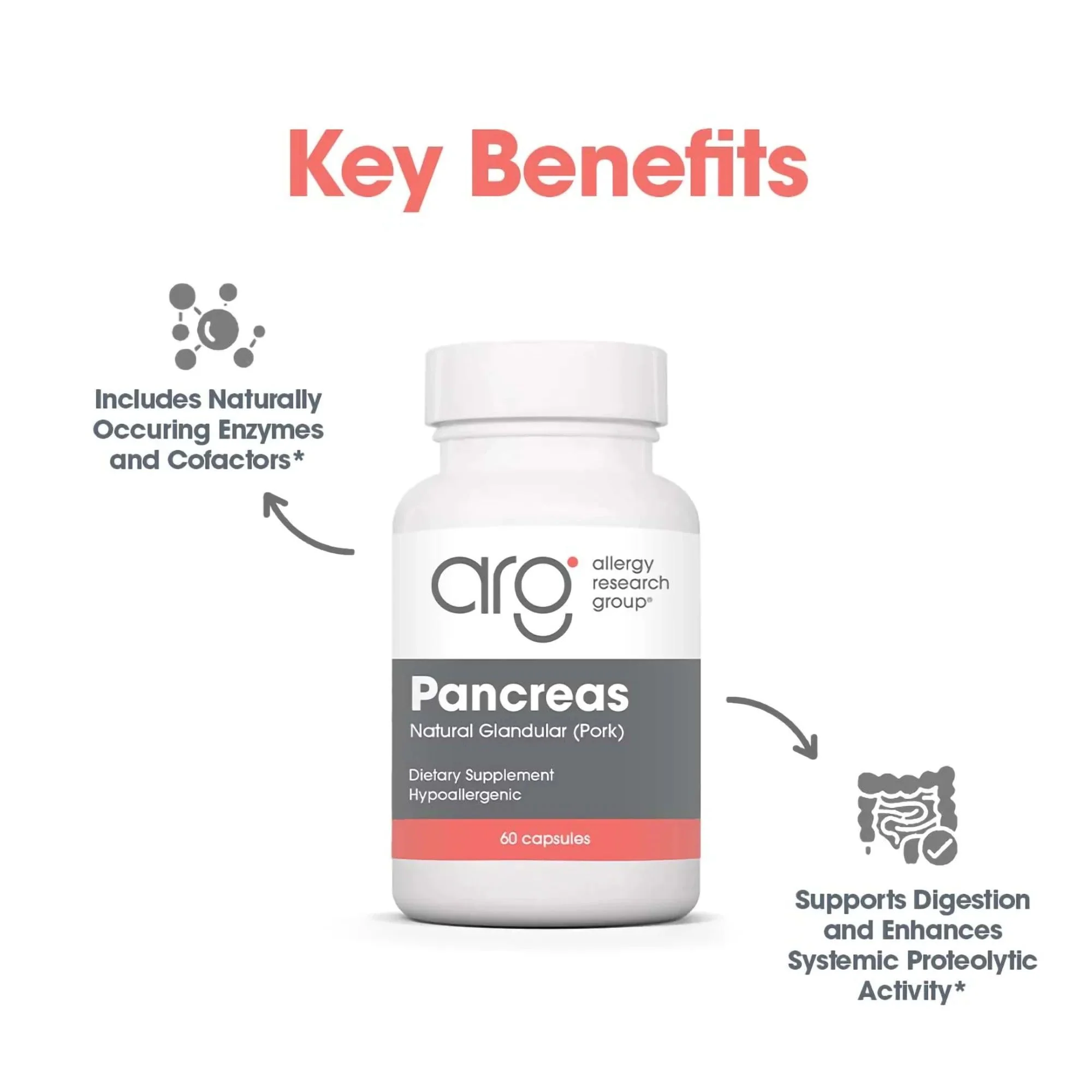 Nutricology Pancreas Pork 425mg Supplement - Pancreas Natural Glandular, Pancreatic Enzymes, Amylase, Protease, Lipase, Hypoallergenic - 60 Count - Image 4