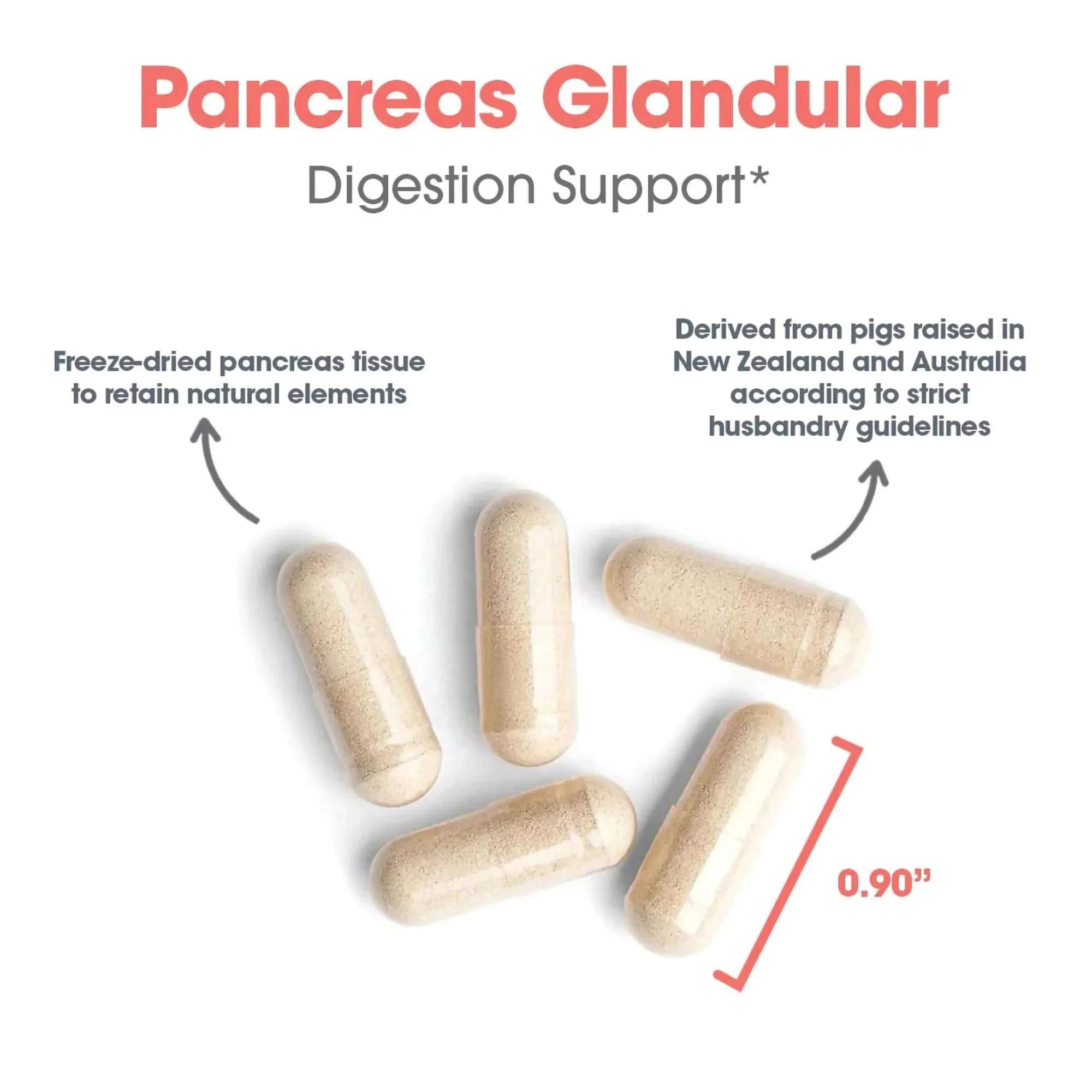Nutricology Pancreas Pork 425mg Supplement - Pancreas Natural Glandular, Pancreatic Enzymes, Amylase, Protease, Lipase, Hypoallergenic - 60 Count - Image 5