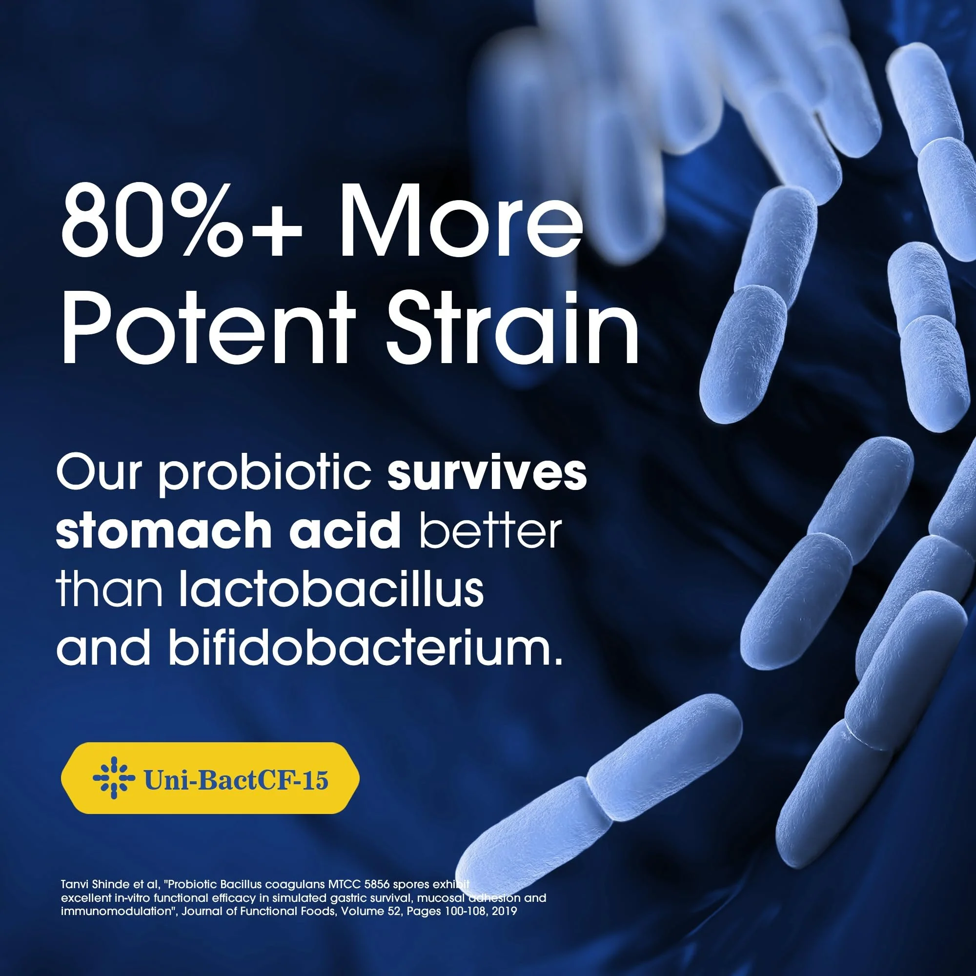 Nutrition Essentials Probiotics for Women and Men - with Lactase Enzyme and Prebiotic Fiber for Digestive Health - 80 Percent + More Potent Supplement for Gut Health Support - Vegan Formula - Image 5