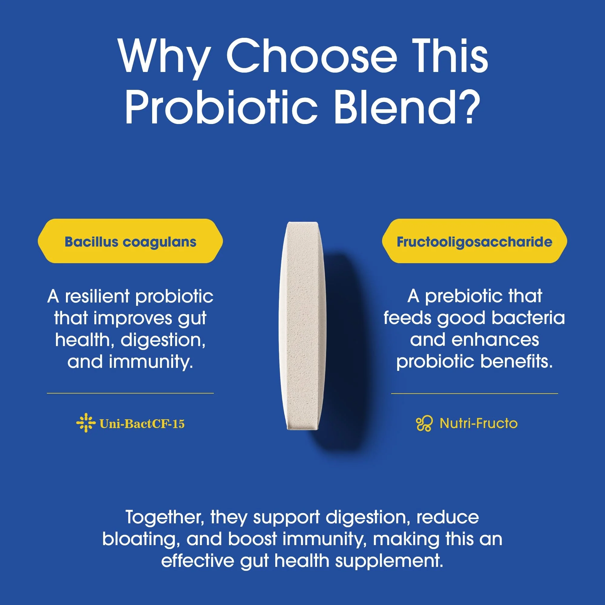 Nutrition Essentials Probiotics for Women and Men - with Lactase Enzyme and Prebiotic Fiber for Digestive Health - 80 Percent + More Potent Supplement for Gut Health Support - Vegan Formula - Image 6