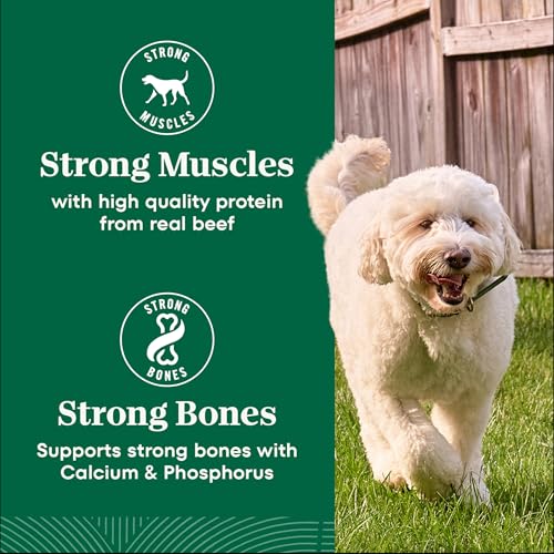 Nutro Natural Choice Dry Dog Food, Adult Dog Food Dry Chicken and Brown Rice Recipe, 5 lbs. - Image 3