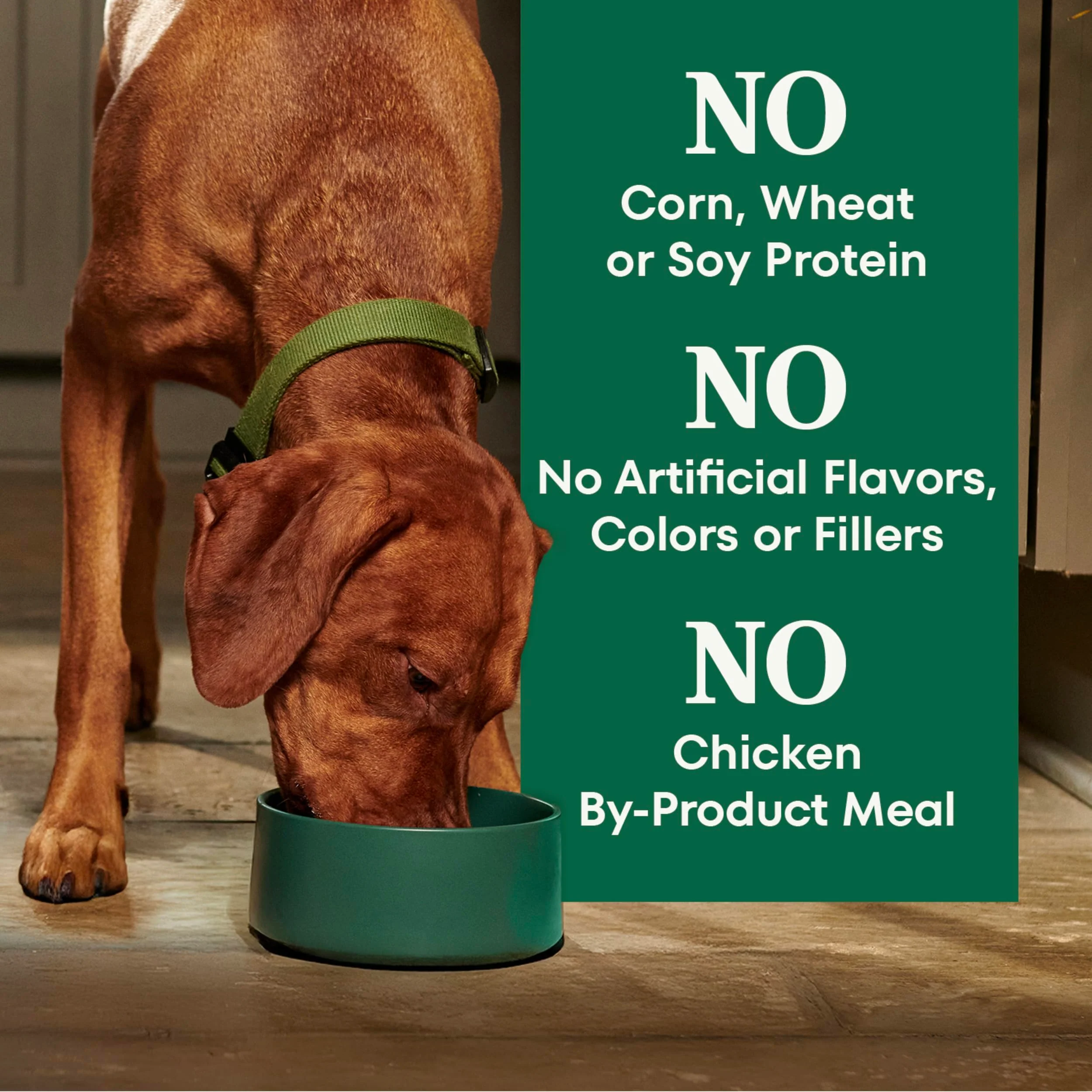 Nutro Natural Choice Dry Dog Food, Adult Dog Food Dry Chicken and Brown Rice Recipe, 5 lbs. - Image 5