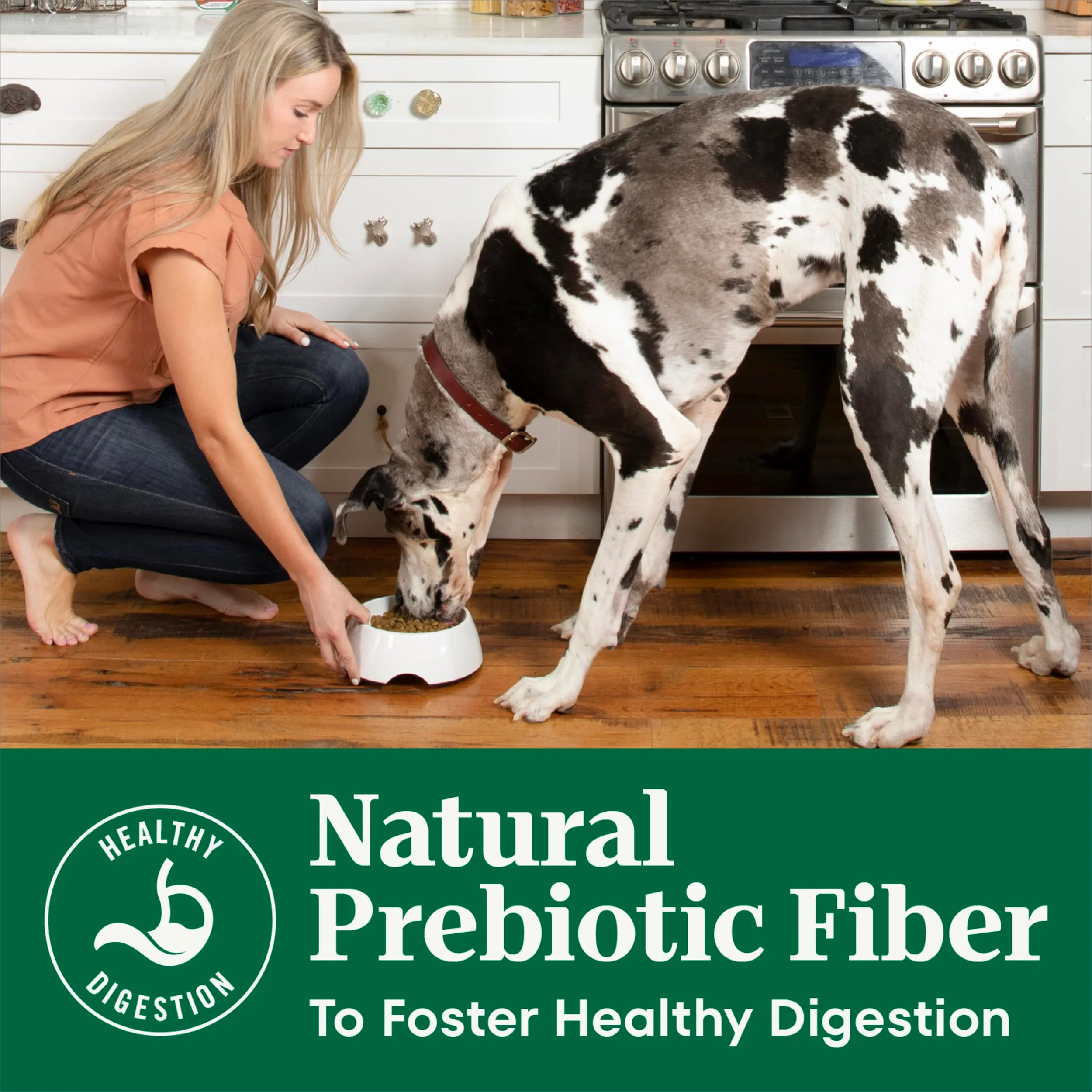 Nutro Natural Choice Dry Dog Food, Adult Dog Food Dry Chicken and Brown Rice Recipe, 5 lbs. - Image 7