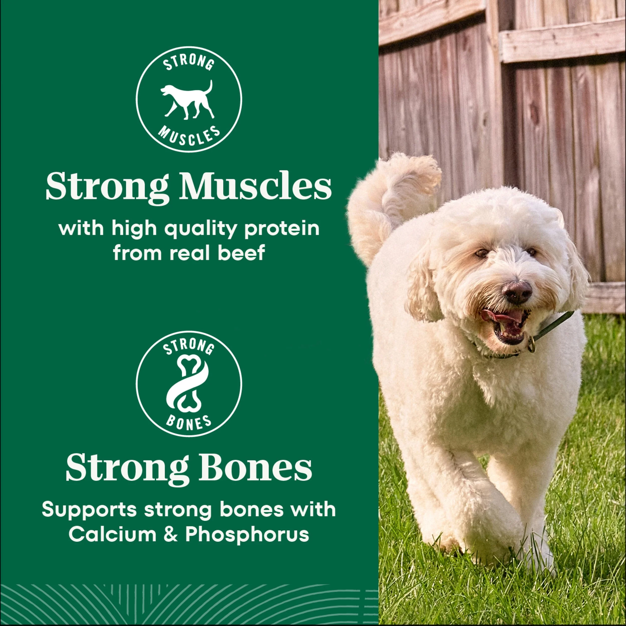 Nutro Natural Choice Dry Dog Food, Adult Dog Food Dry Lamb and Brown Rice Recipe, 5 lbs. - Image 3