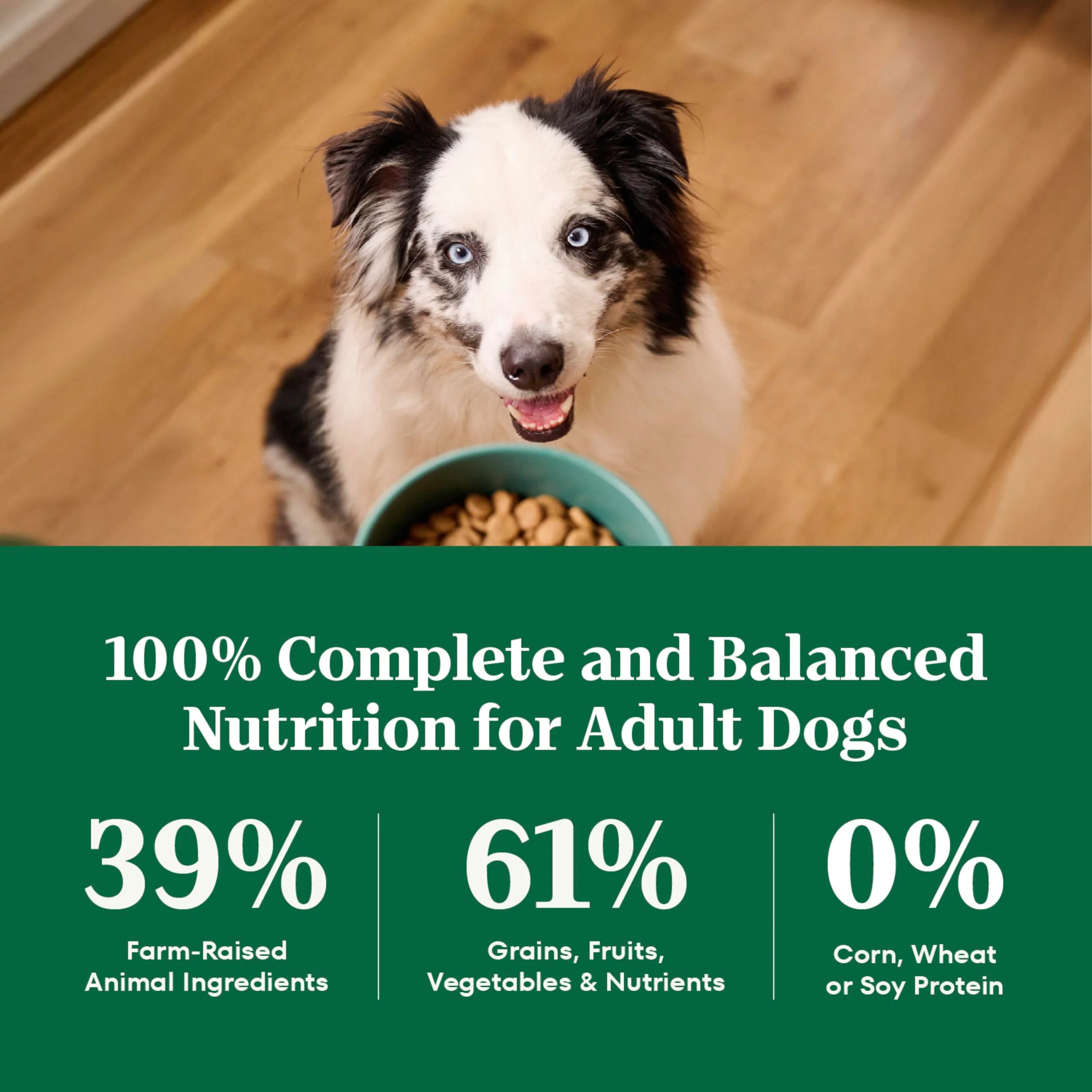 Nutro Natural Choice Dry Dog Food, Adult Dog Food Dry Lamb and Brown Rice Recipe, 5 lbs. - Image 4