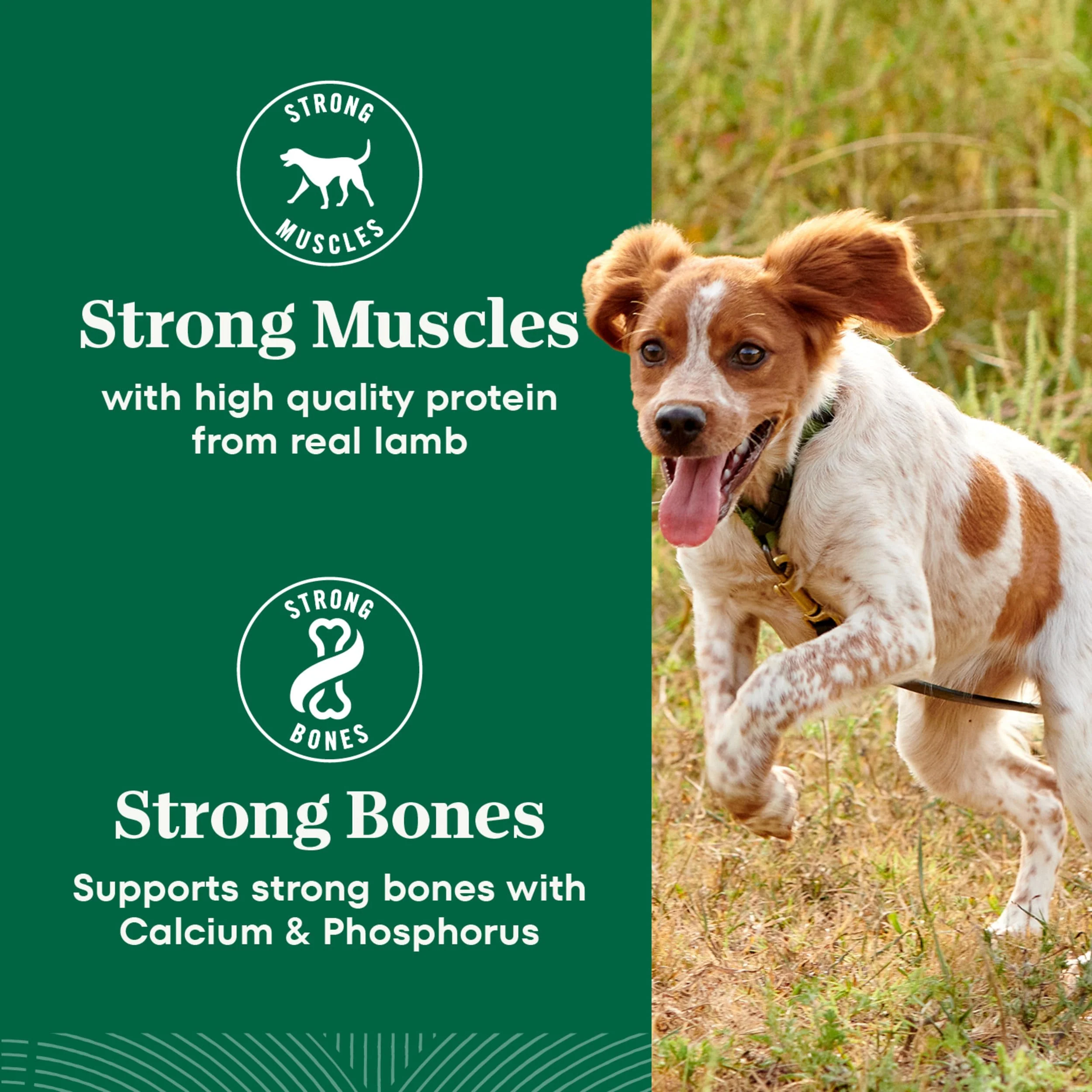 Nutro Natural Choice Small Bites Dry Dog Food, Adult Dog Food Dry Lamb & Brown Rice Recipe, 5 lbs. - Image 3