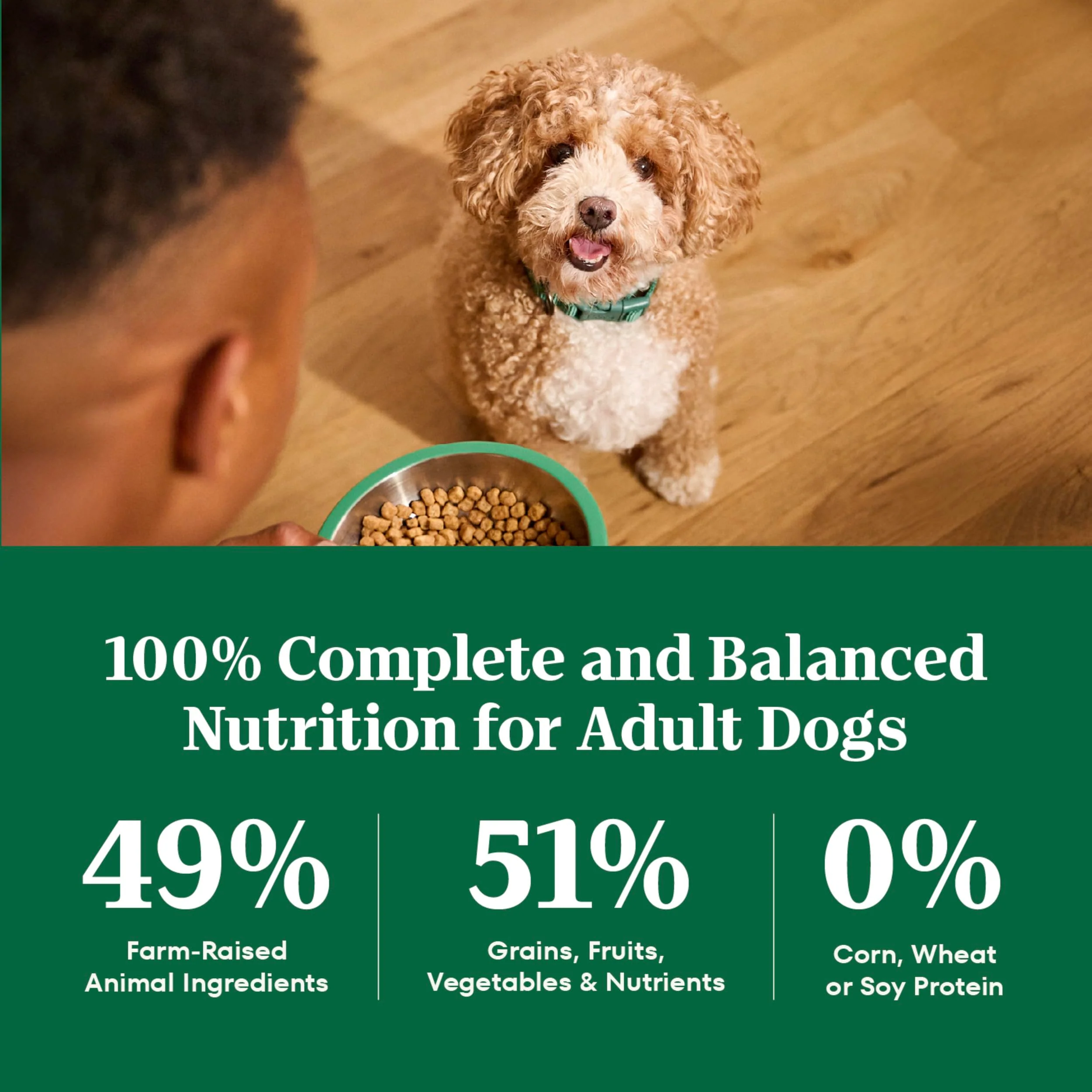 Nutro Natural Choice Small Breed Dry Dog Food, Adult Dog Food Dry Chicken and Brown Rice, 5 lbs. - Image 4